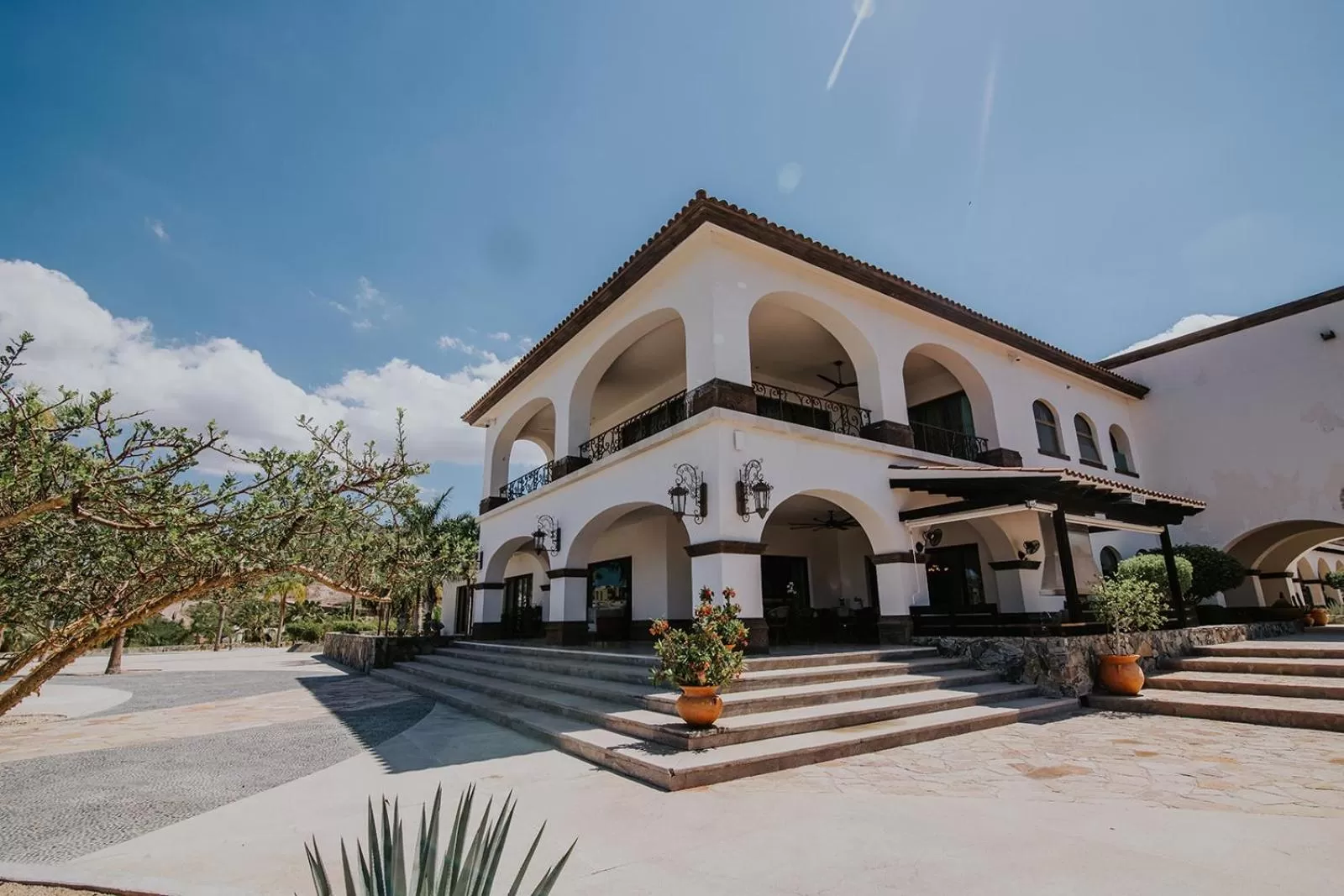 Property building in Orchid House Baja