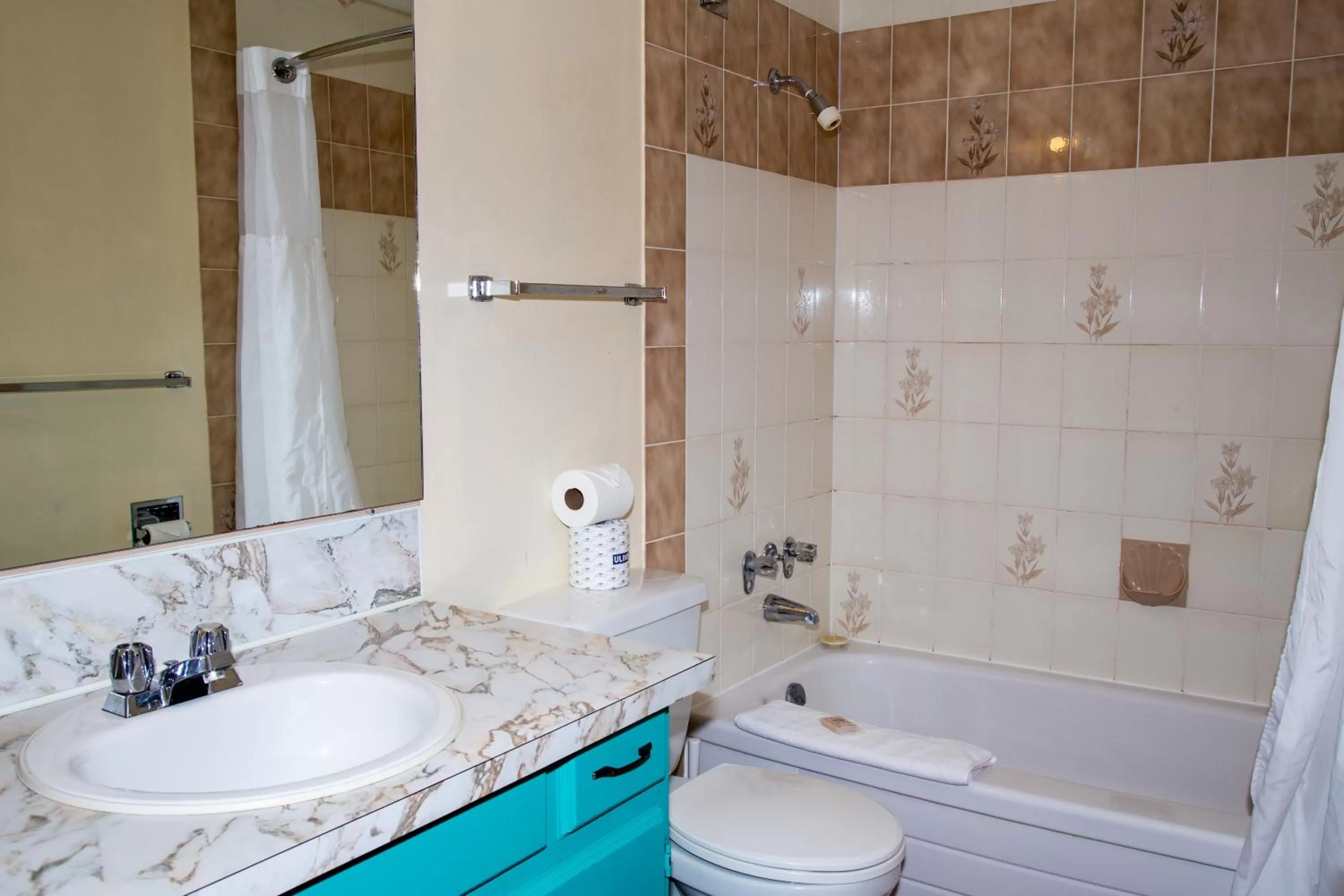 Bathroom in Bowmont Motel