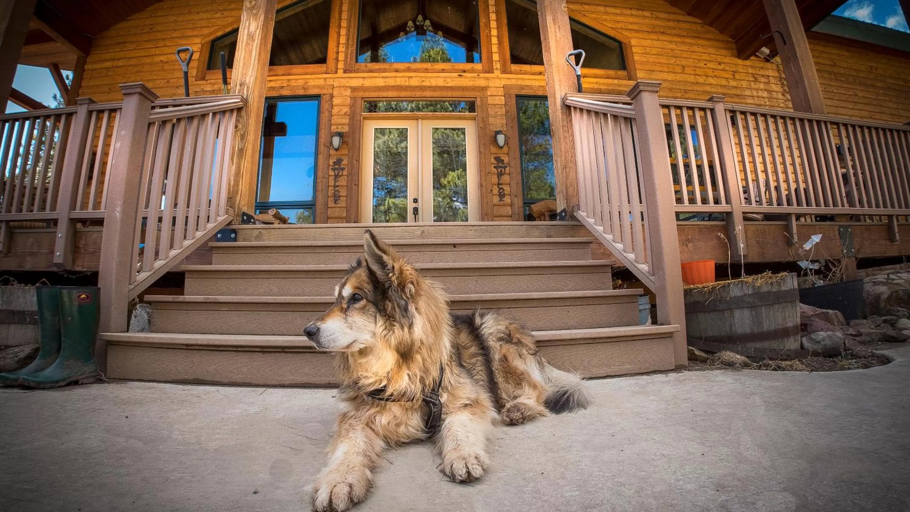 Facade/entrance, Pets in Elktrace Bed and Breakfast