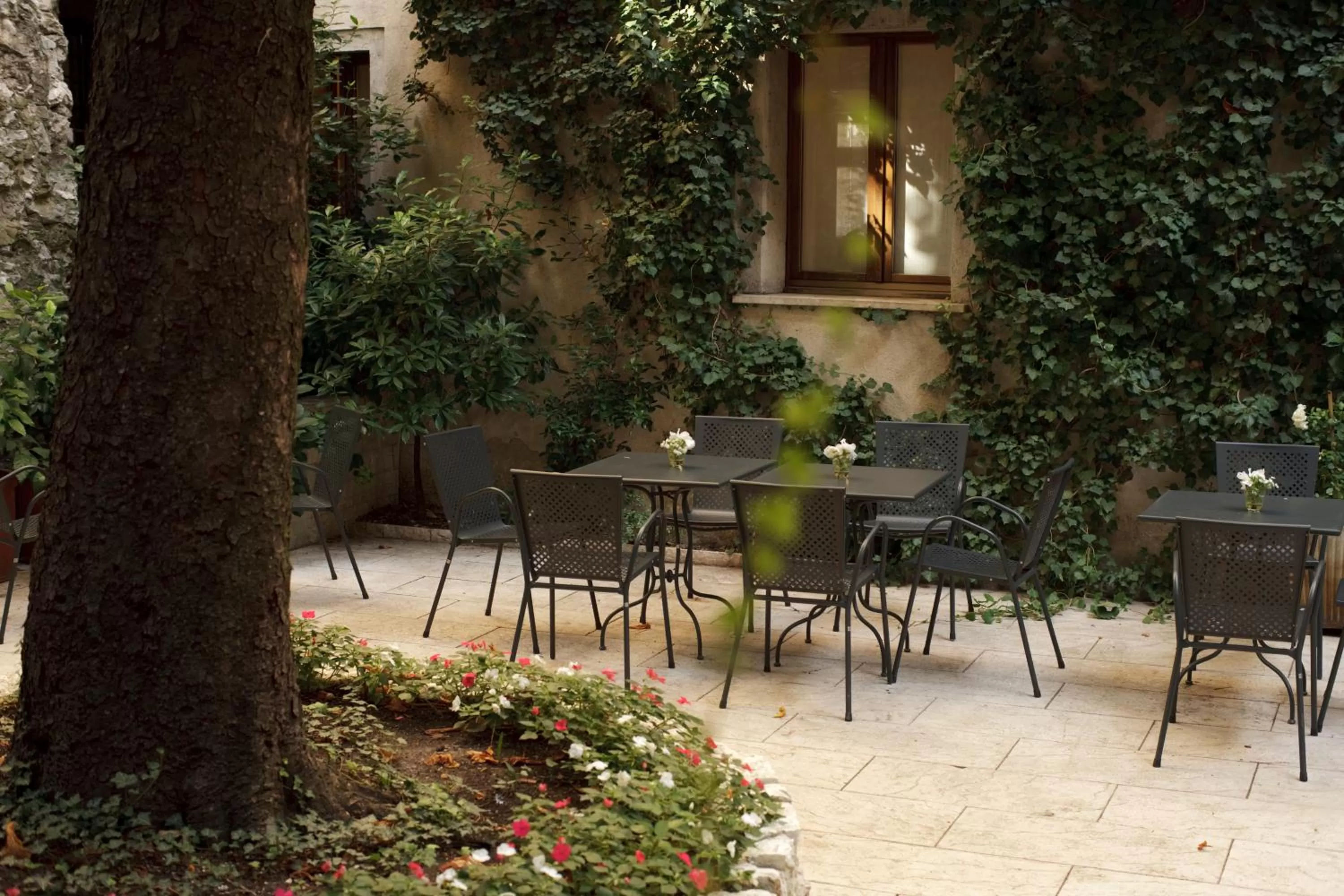 Patio in Albergo Accademia