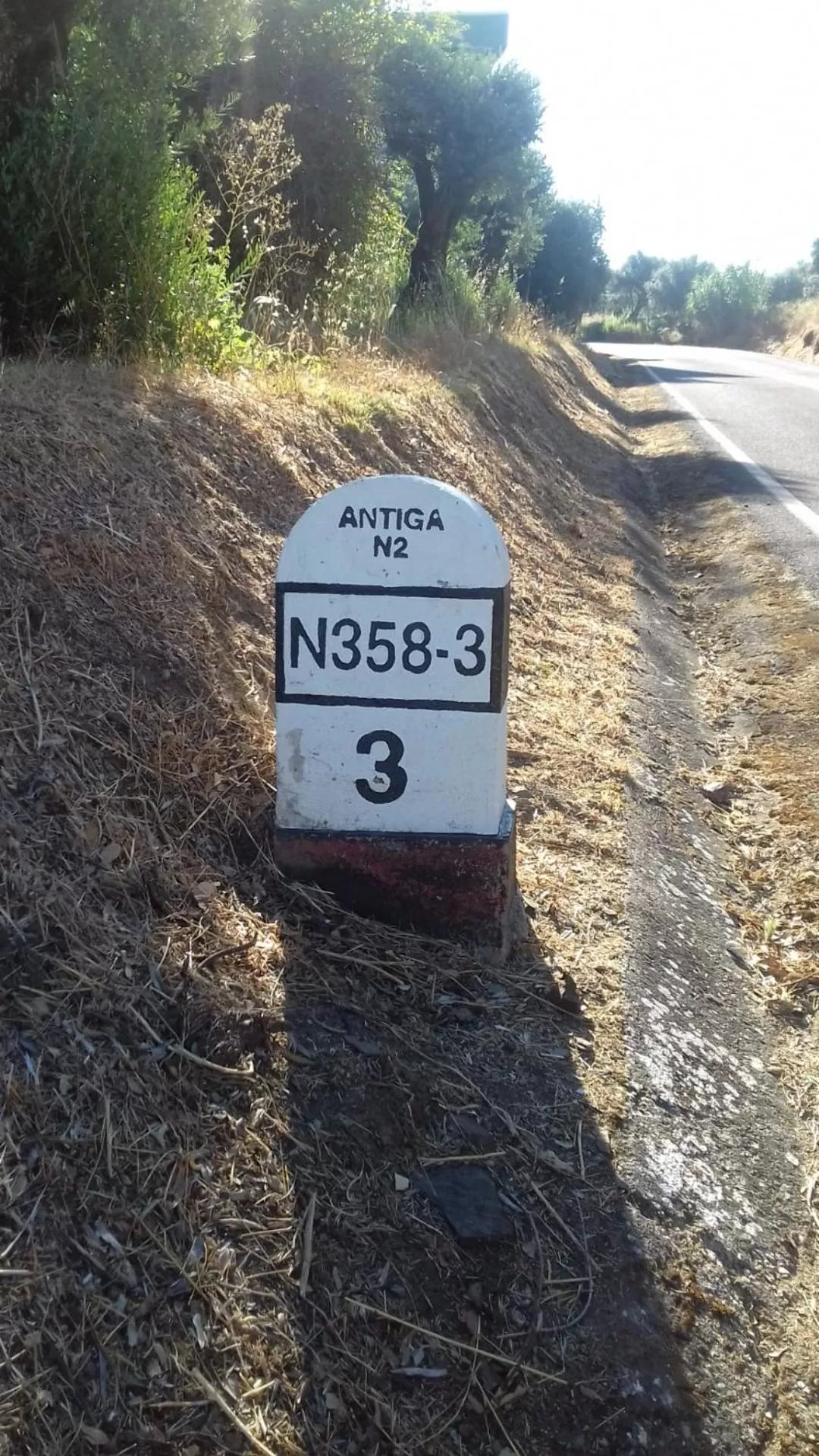 Logo/Certificate/Sign in Porto D'Abrigo - Alojamento Local