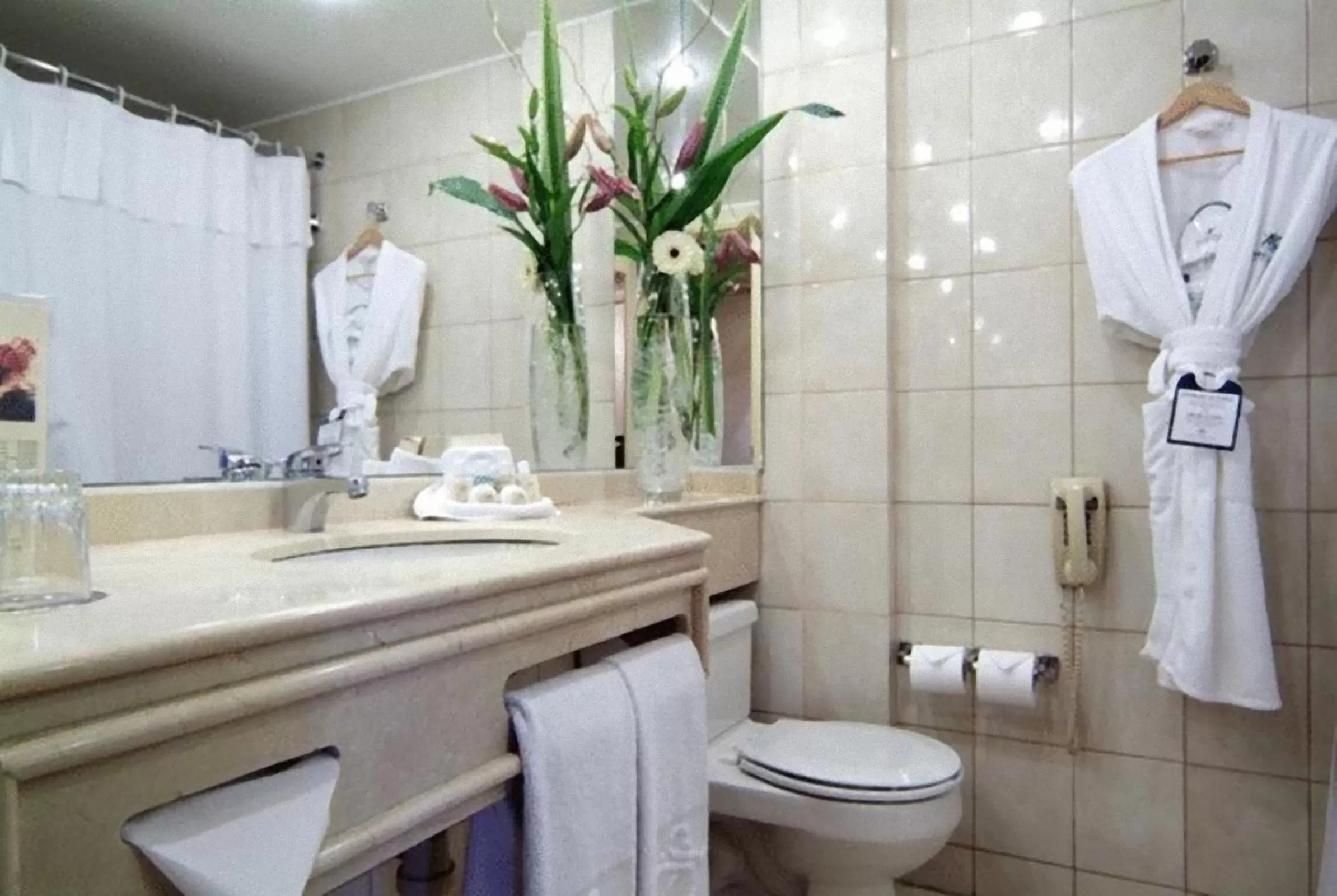 Toilet in Park Plaza Santiago