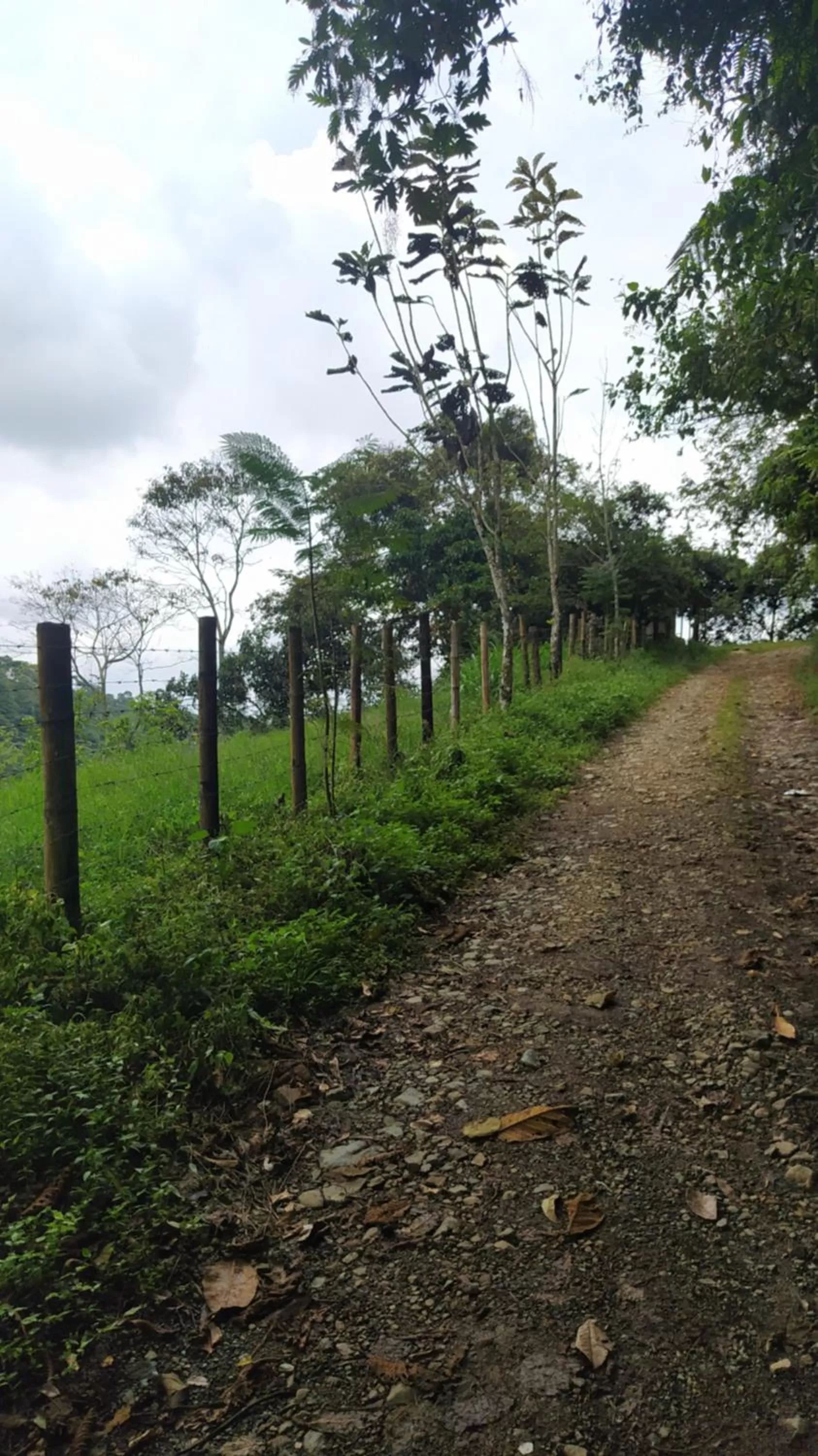 Nearby landmark in Villa Cristina - Casa Boutique