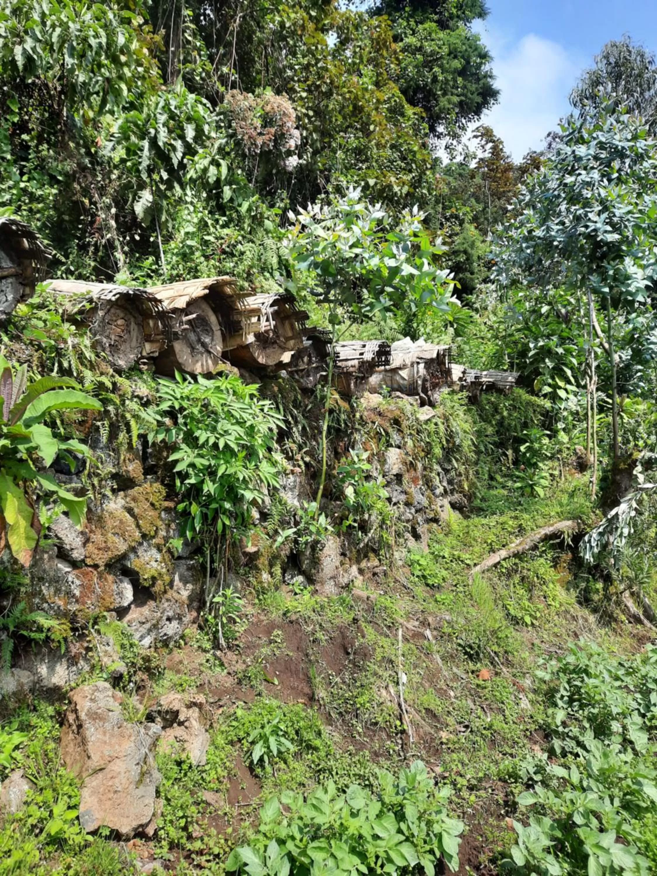 Natural landscape in Isange Paradise Resort