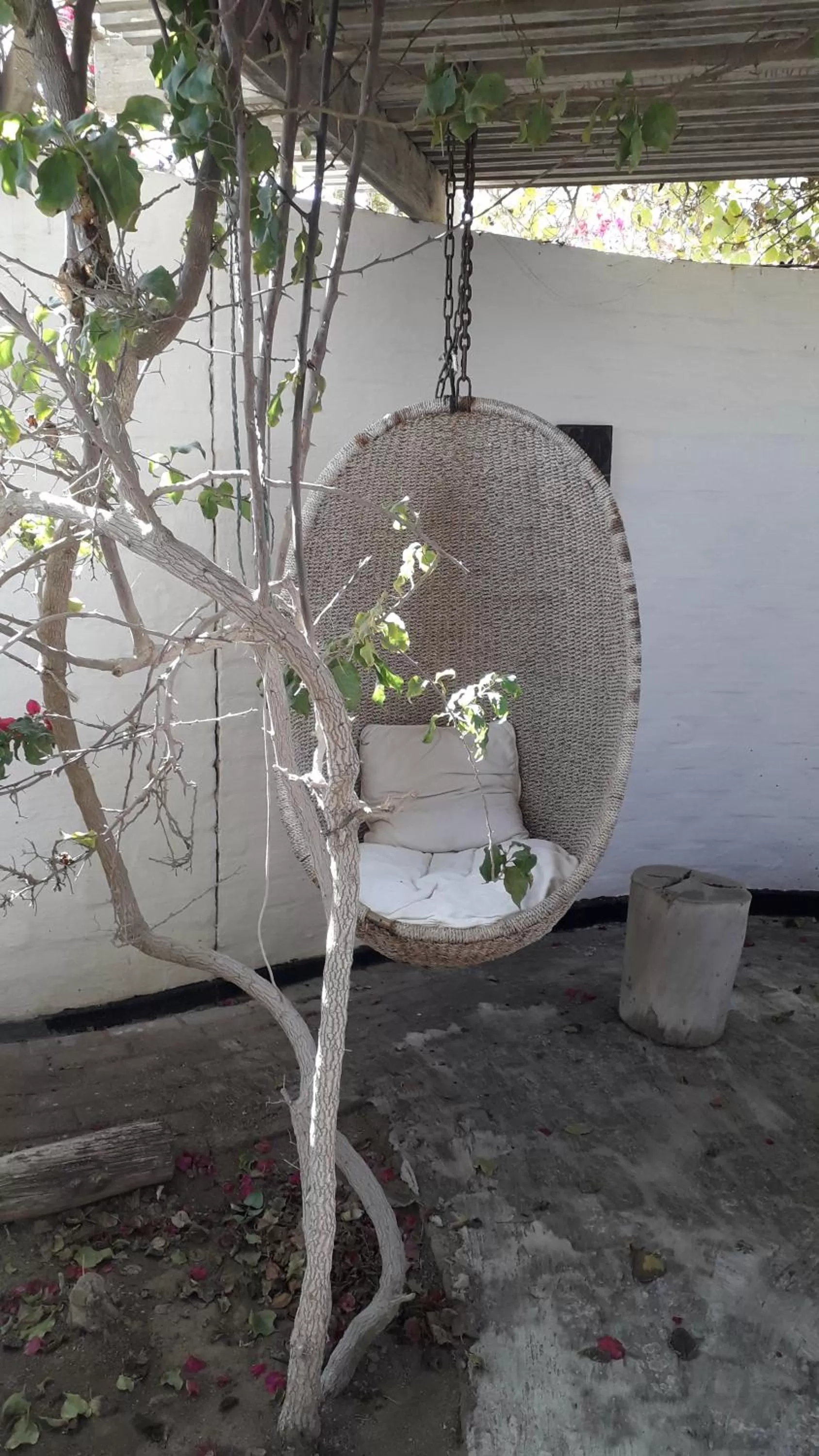 Alternative Space B & B