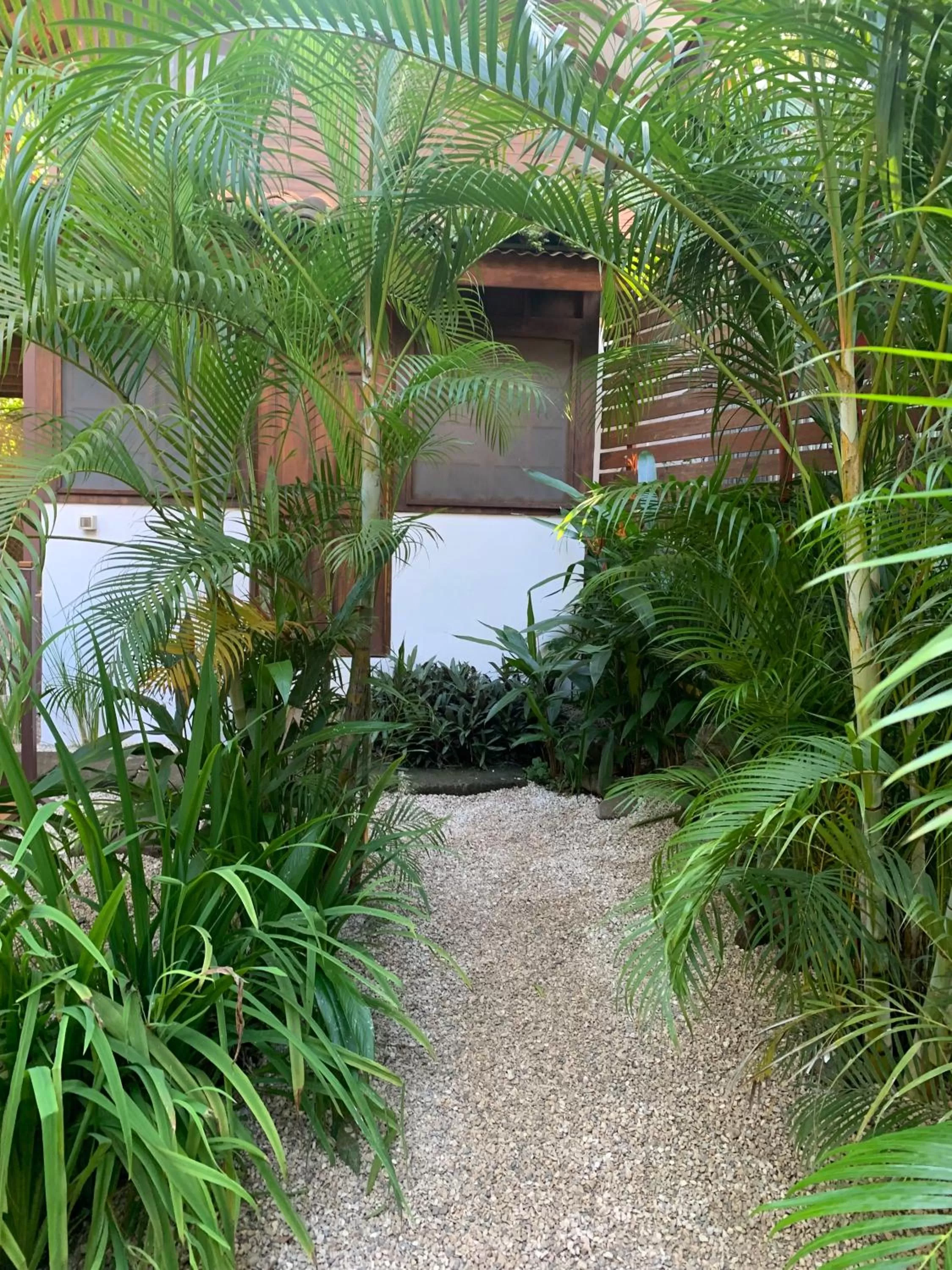 Swimming Pool in The Beach Bungalows - Yoga and Surf Hotel - Adults Only