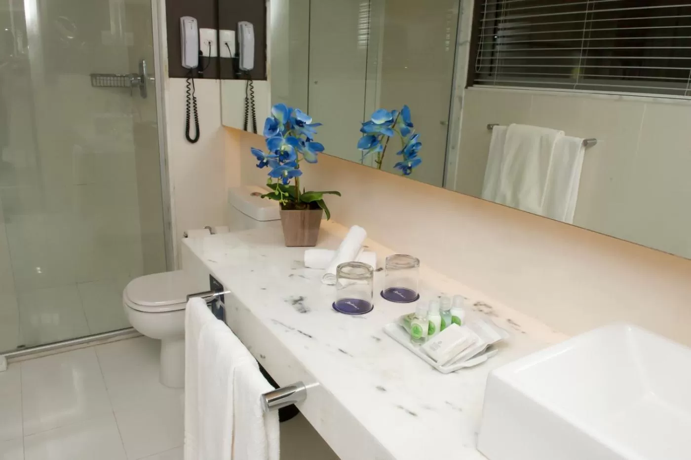 Bathroom in Radisson Blu Belo Horizonte Savassi