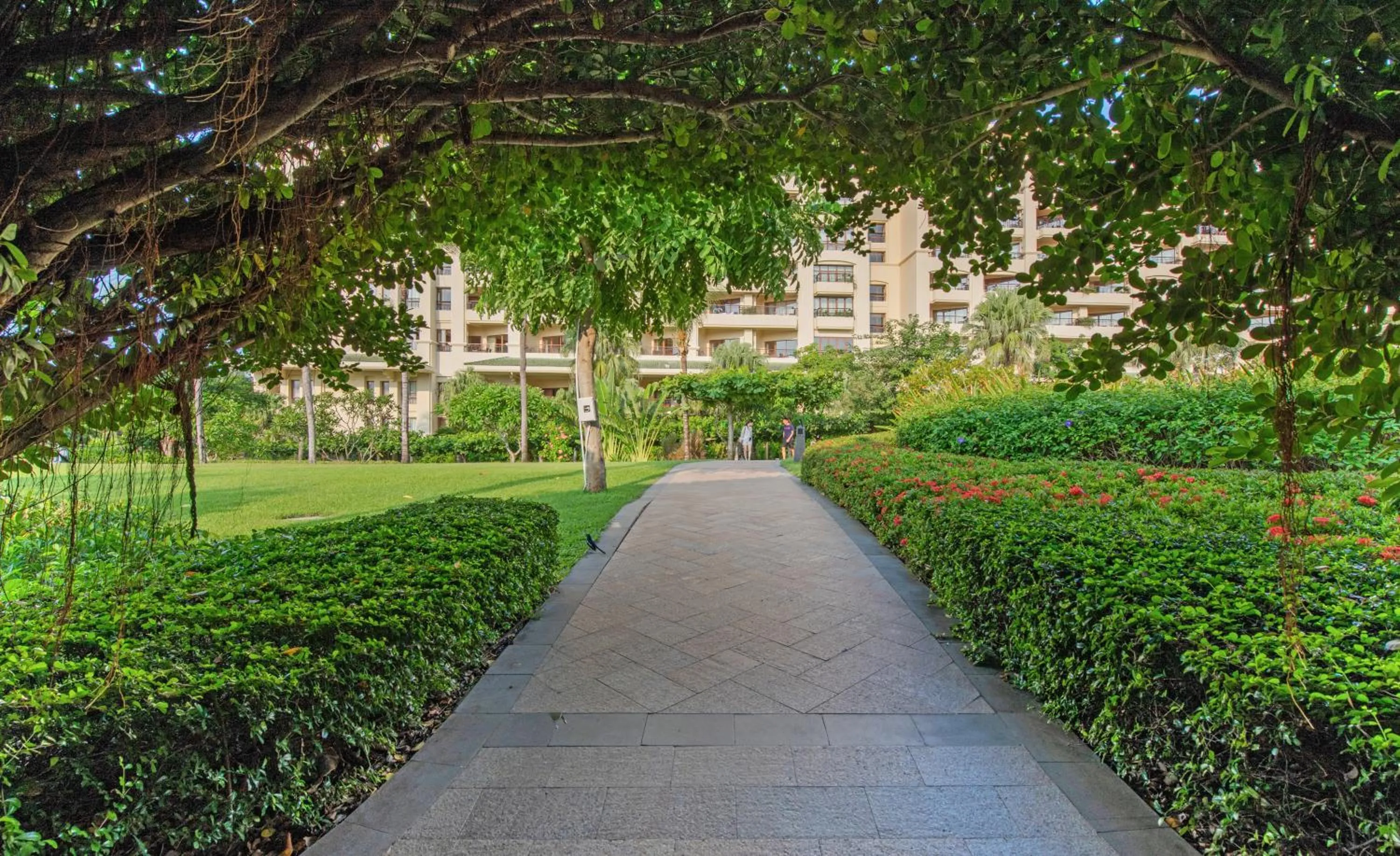 Natural landscape in Horizon Resort & Spa Yalong Bay-Yalong Bay Central