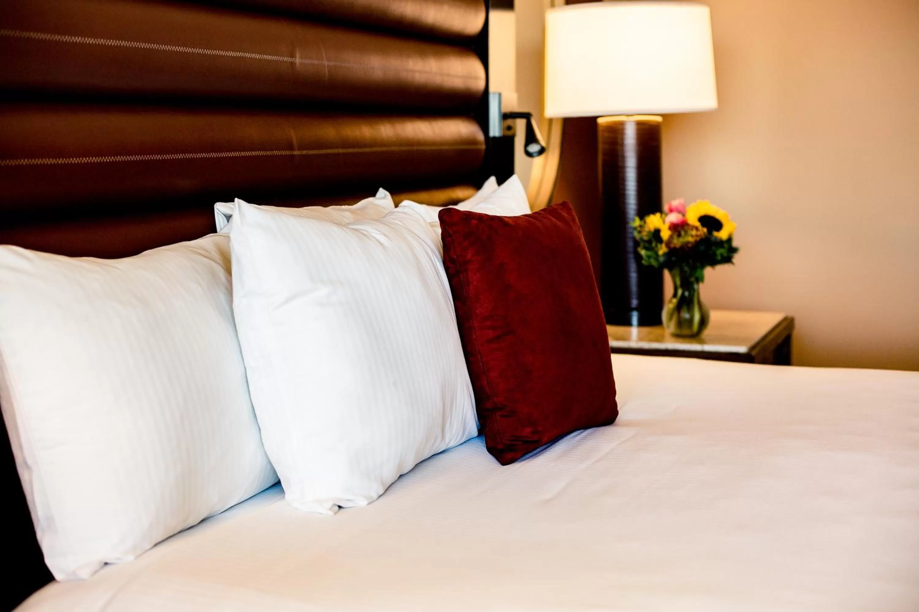 Bed in Overton Hotel and Conference Center