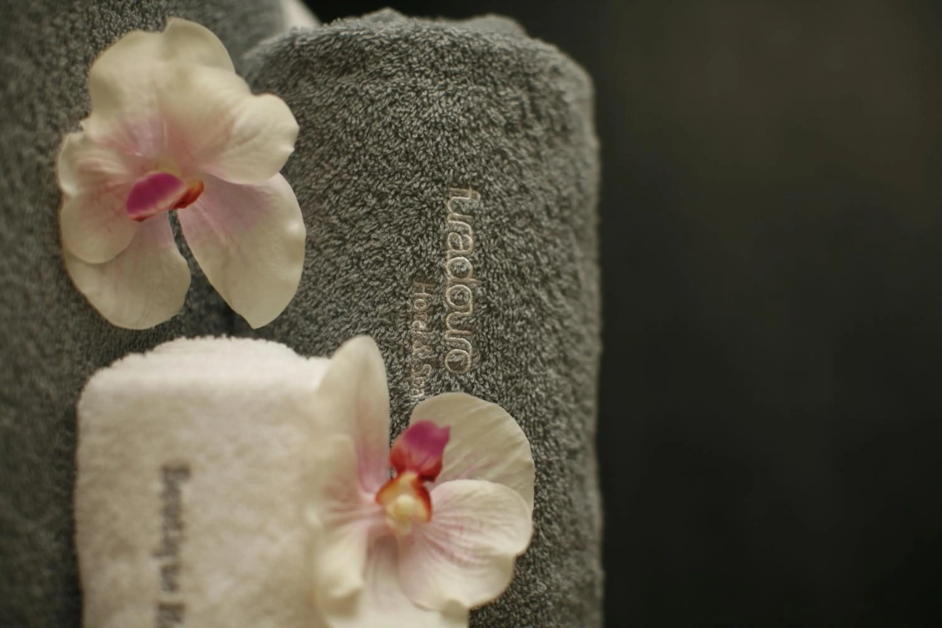 Spa and wellness centre/facilities in Furadouro Boutique Hotel Beach & SPA