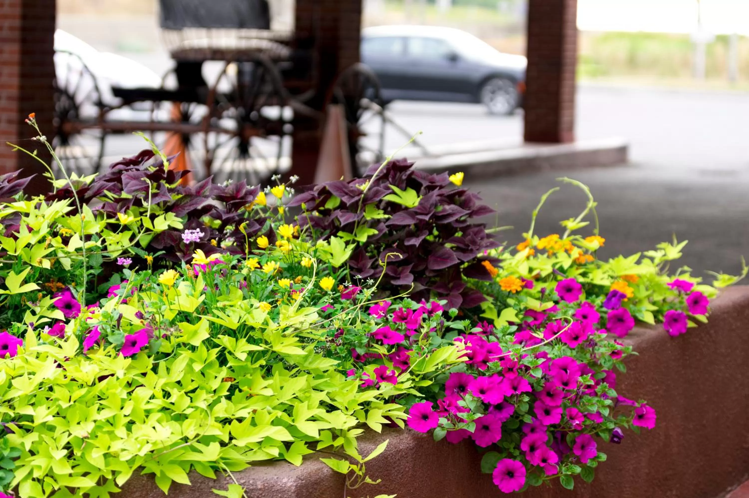 Decorative detail in Mount Peyton Resort & Conference Centre