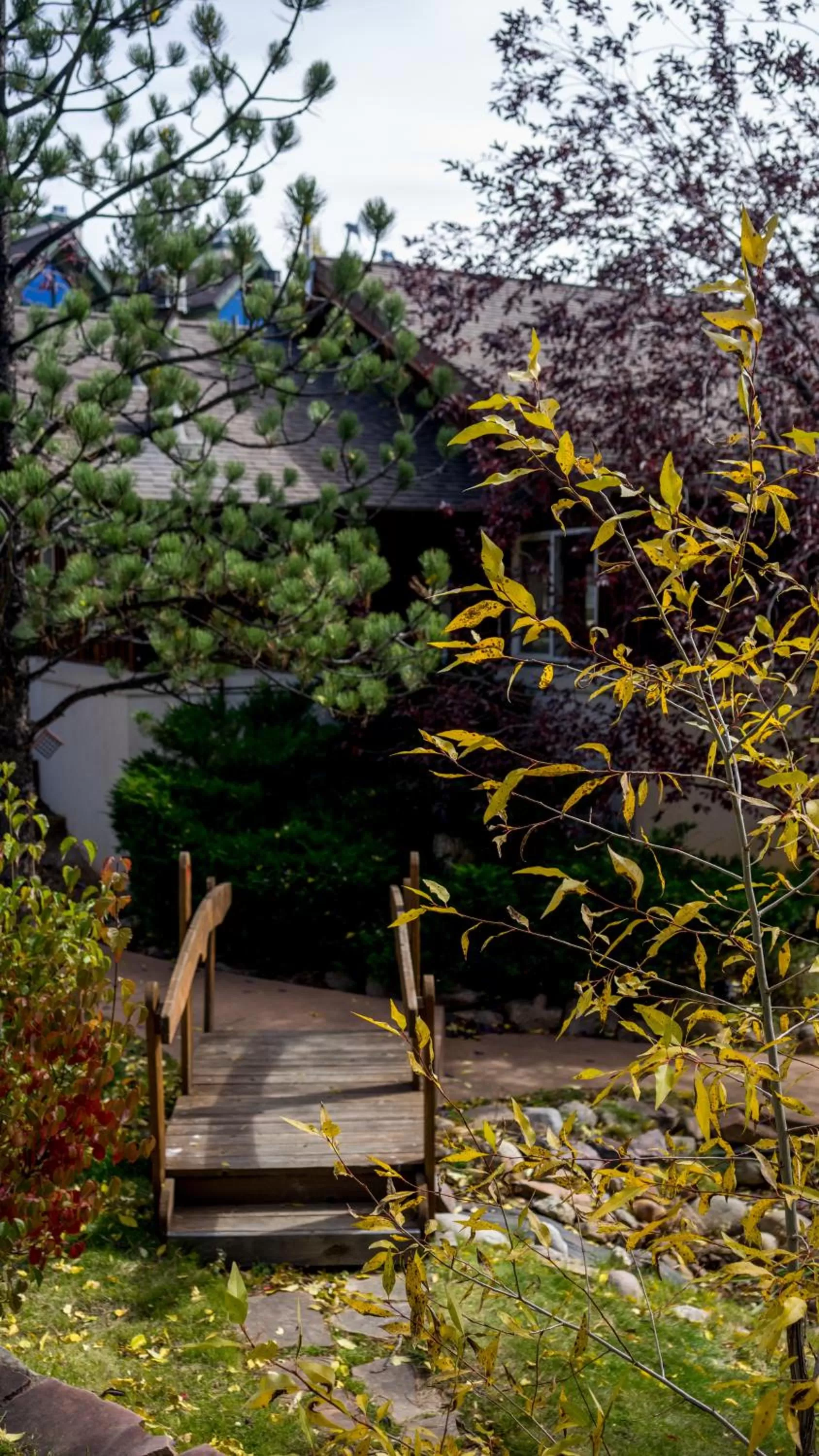 Garden in Appenzell Inn