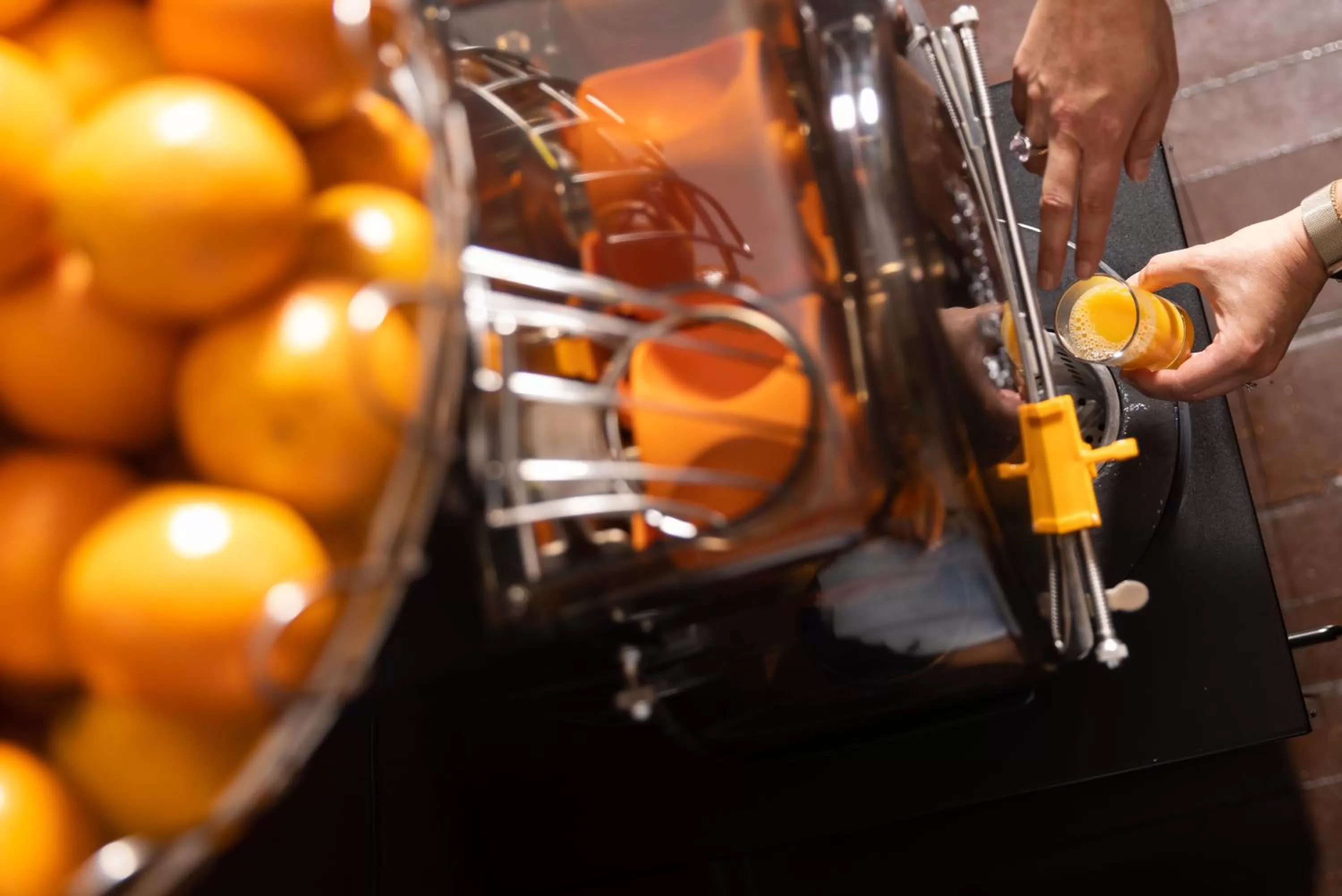 Food and drinks in Best Western Plus Hôtel Brice Garden Nice