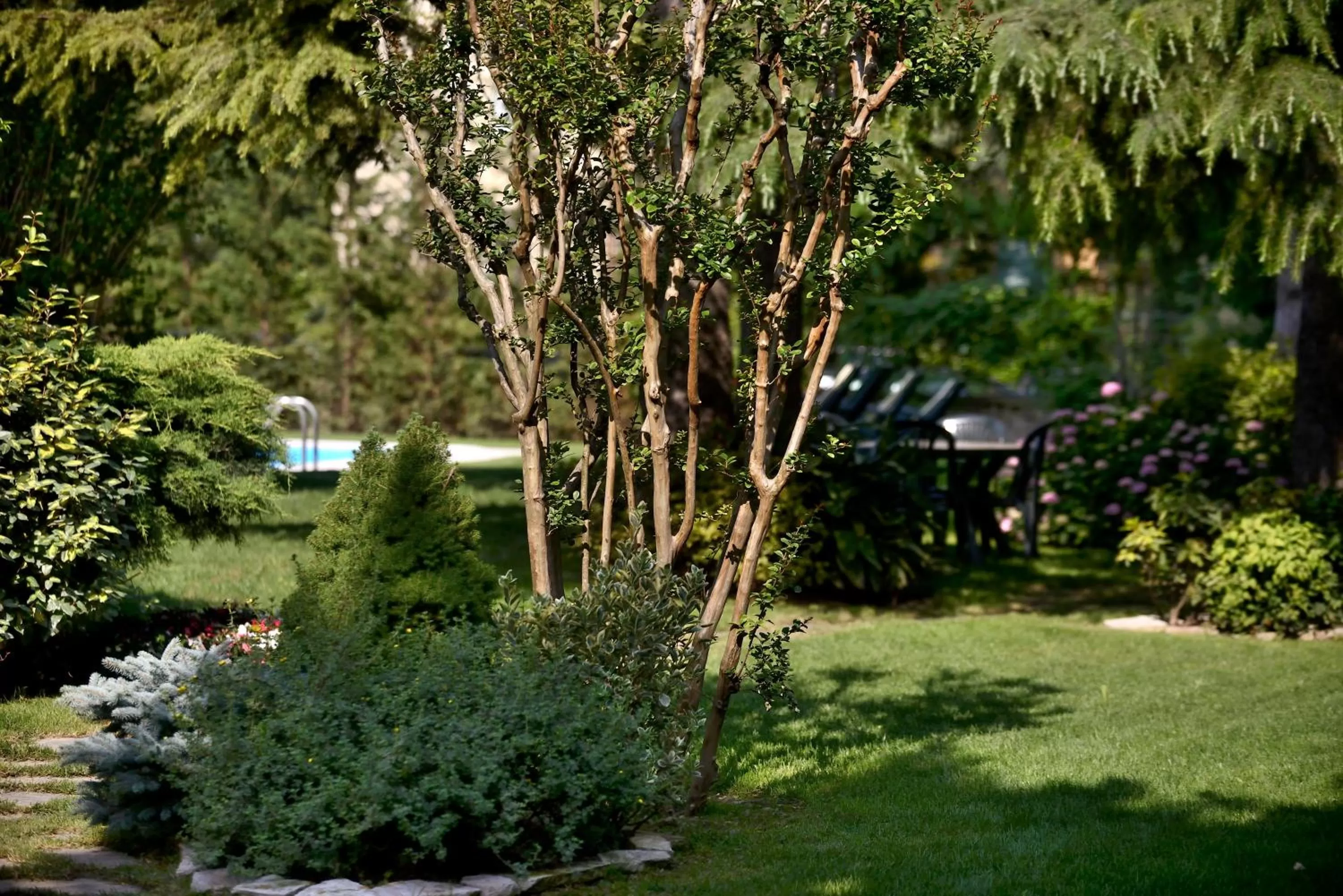 Day, Garden in Corvetto Residence Porto Di Mare