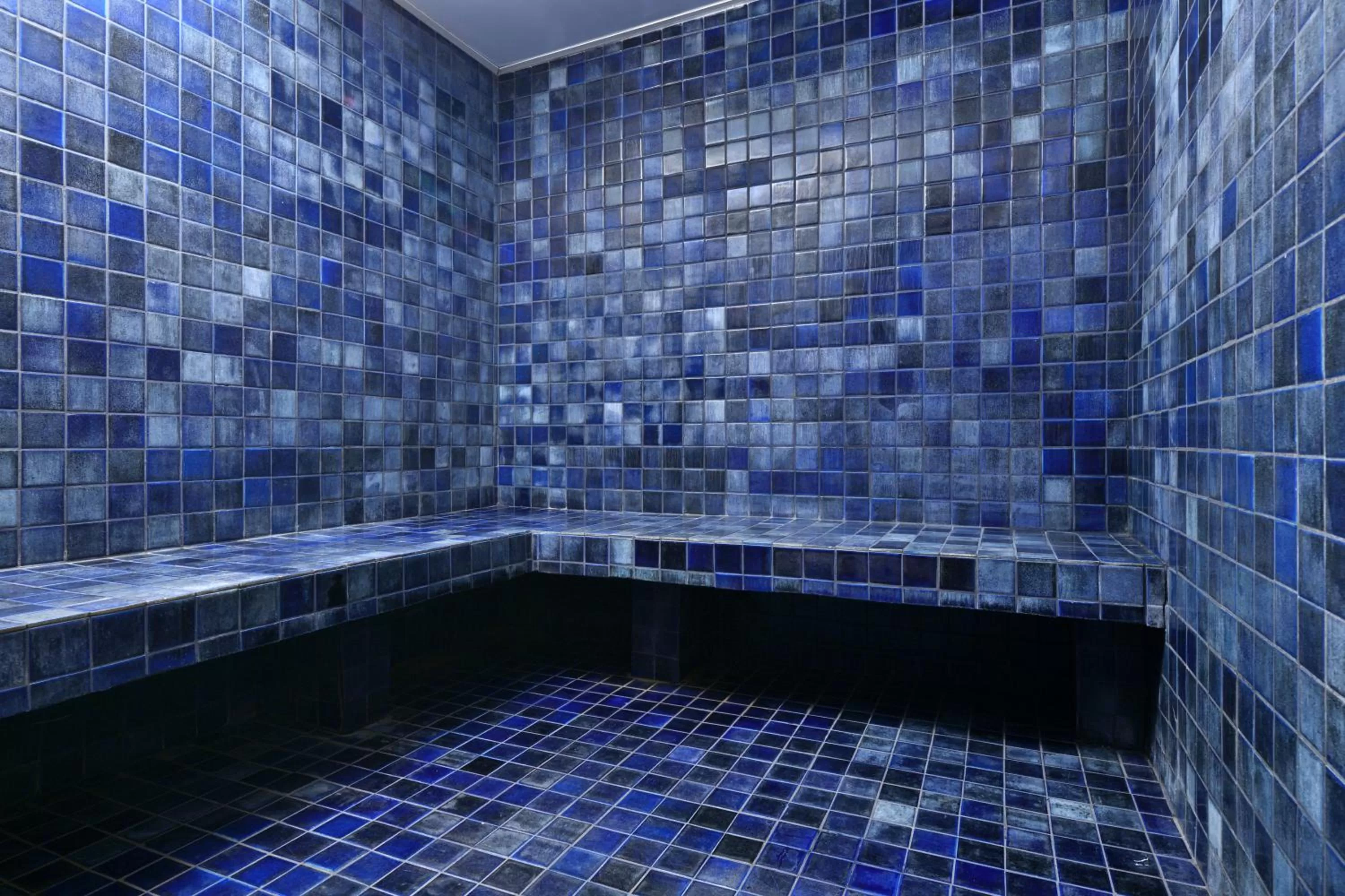 Sauna in Jaisalmer Marriott Resort & Spa