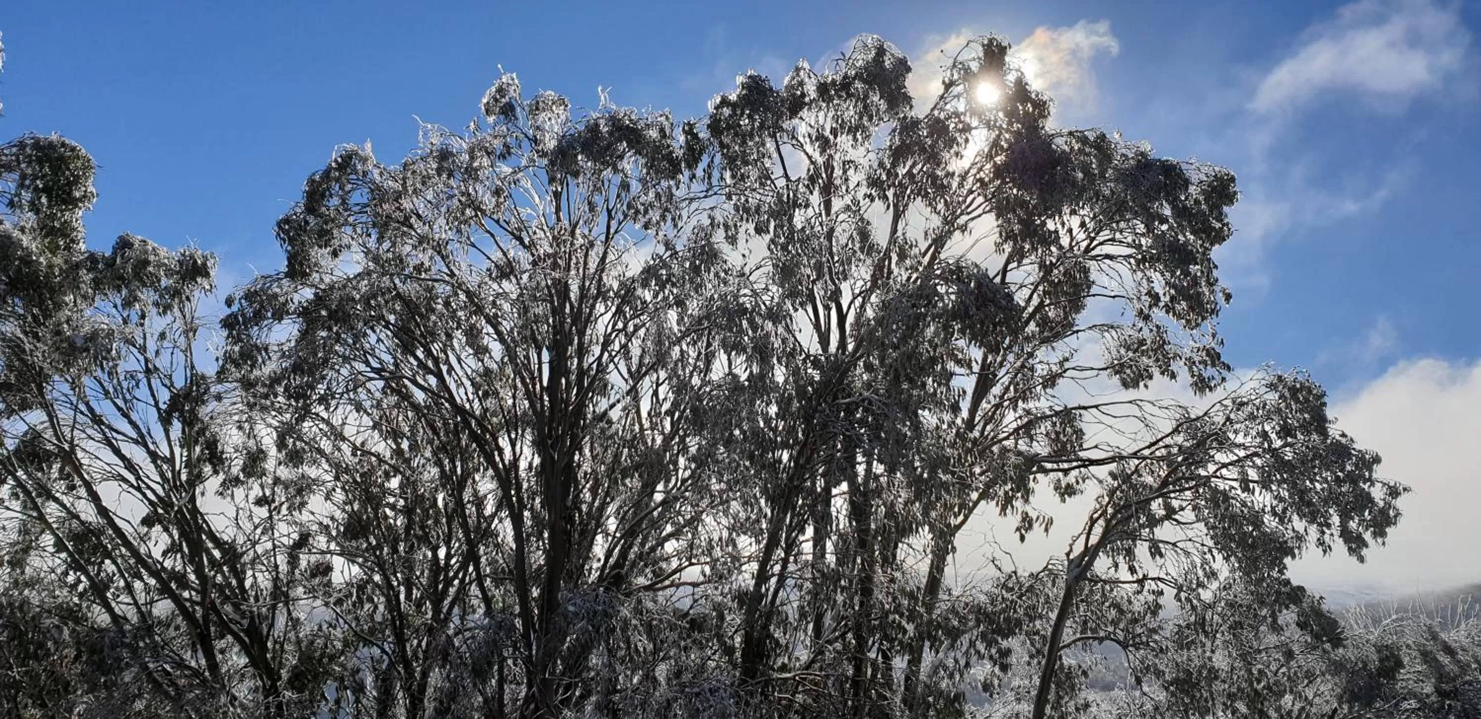 Mountain view in Cedarwood Apartments