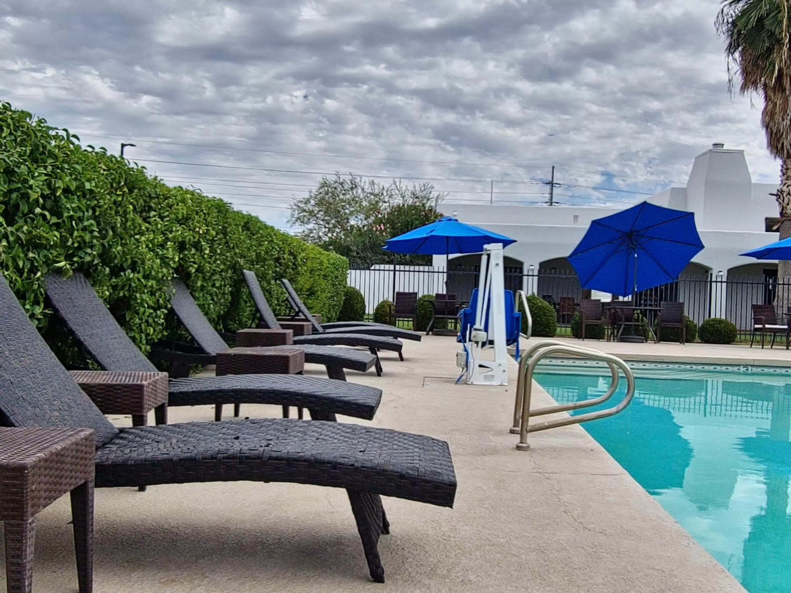 Garden in Los Viajeros Inn