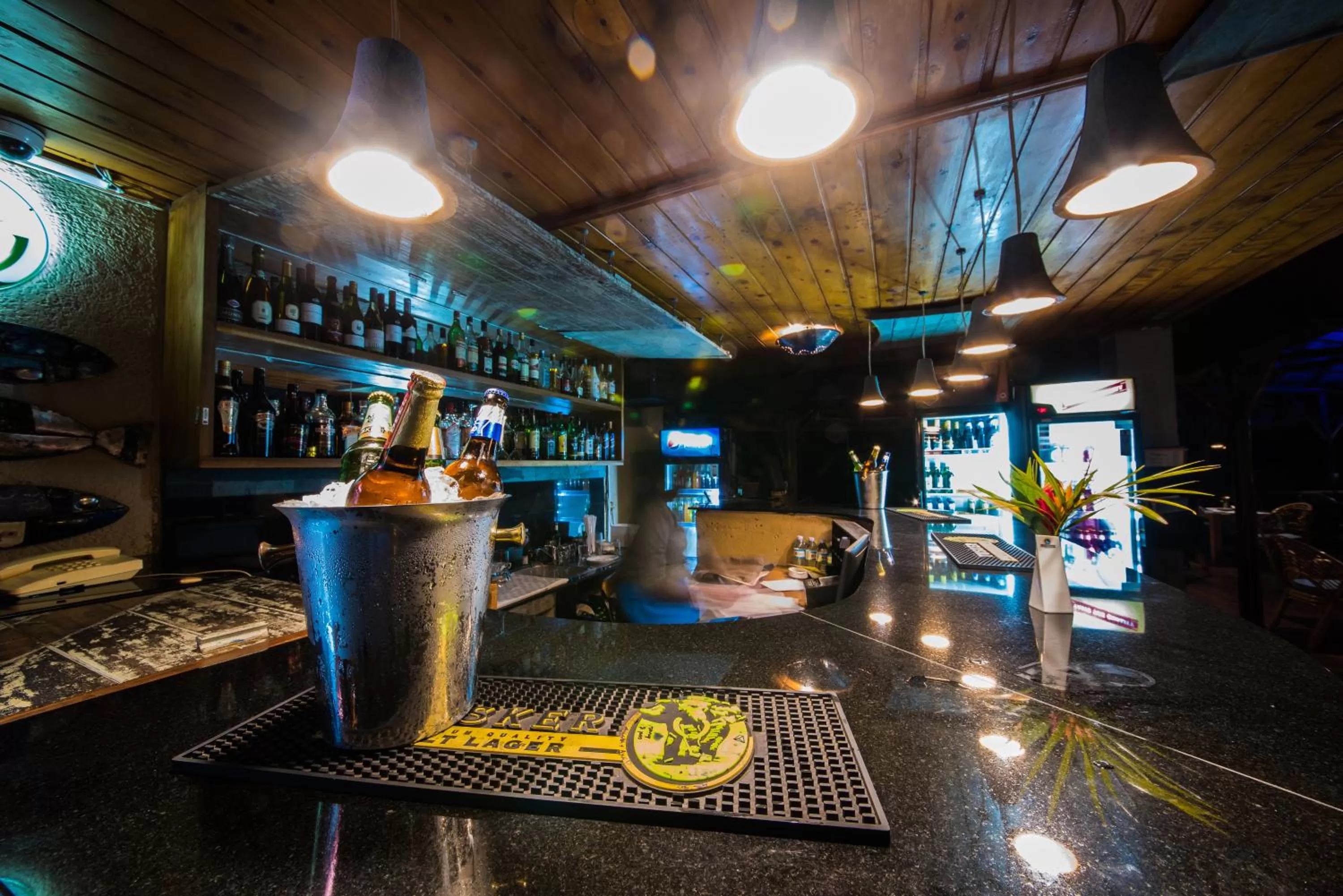 Drinks in Dolphin Suites