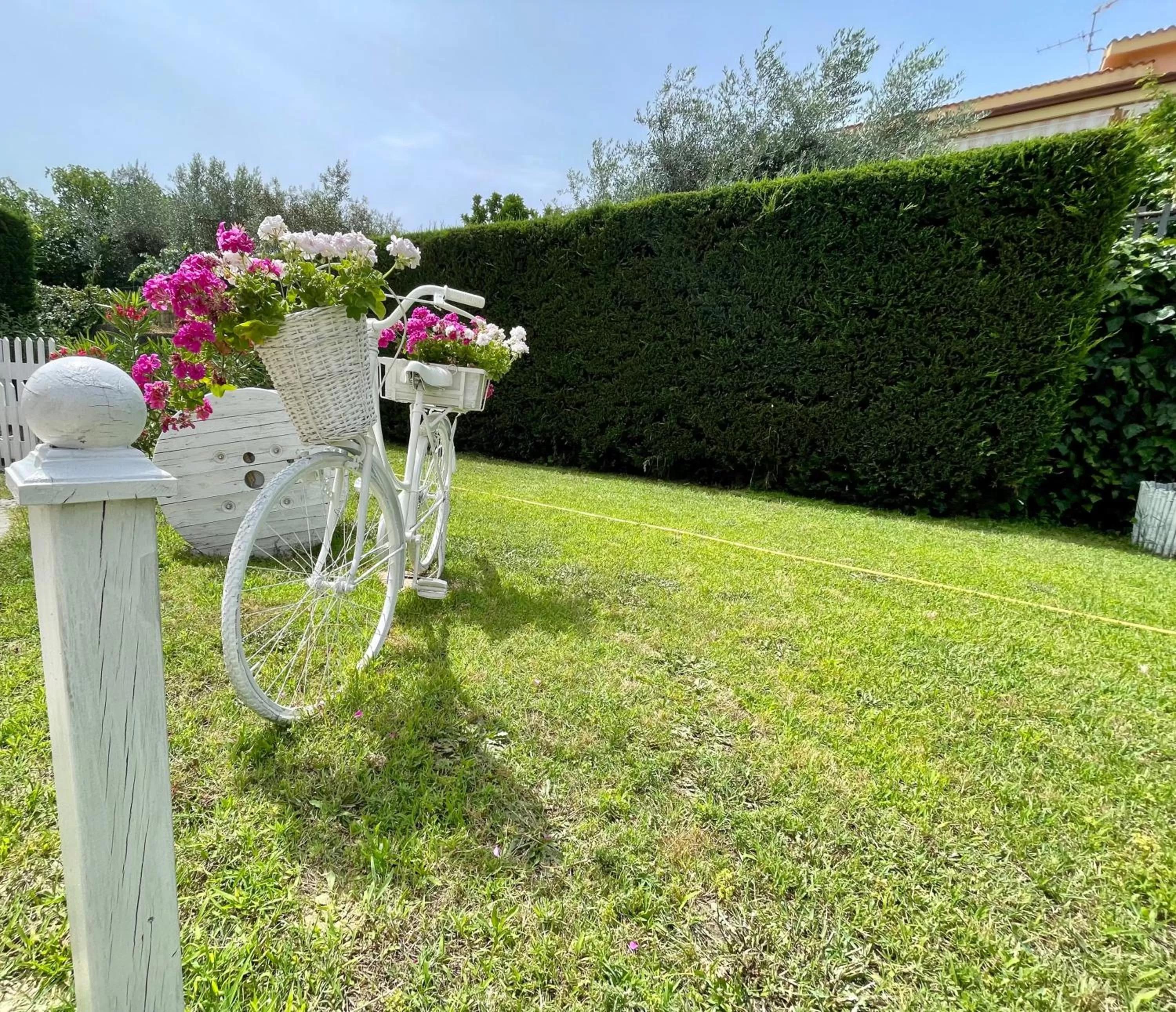 Activities in Hotel Le Ceramiche