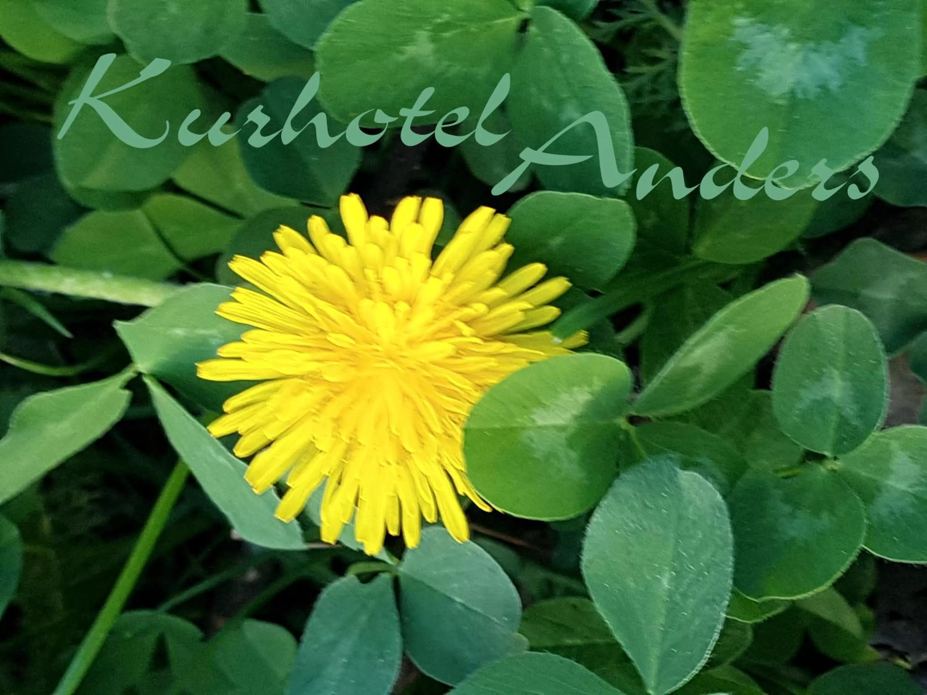 Spring in Kurhotel Anders