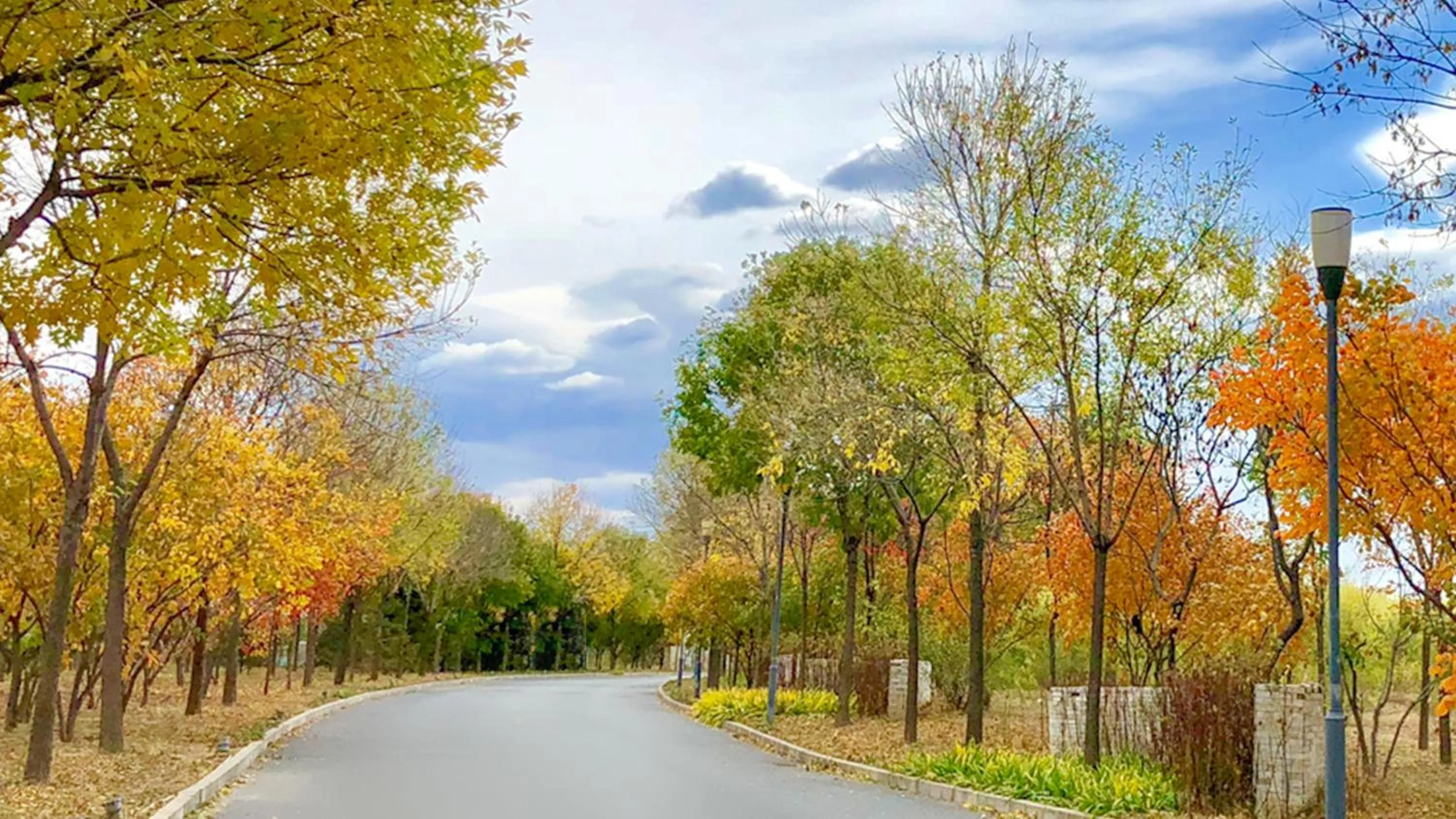 Other in Holiday Inn Beijing Shijingshan Parkview by IHG