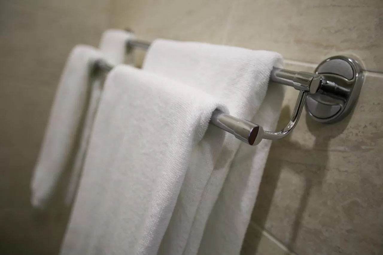 Altai Business Hotel