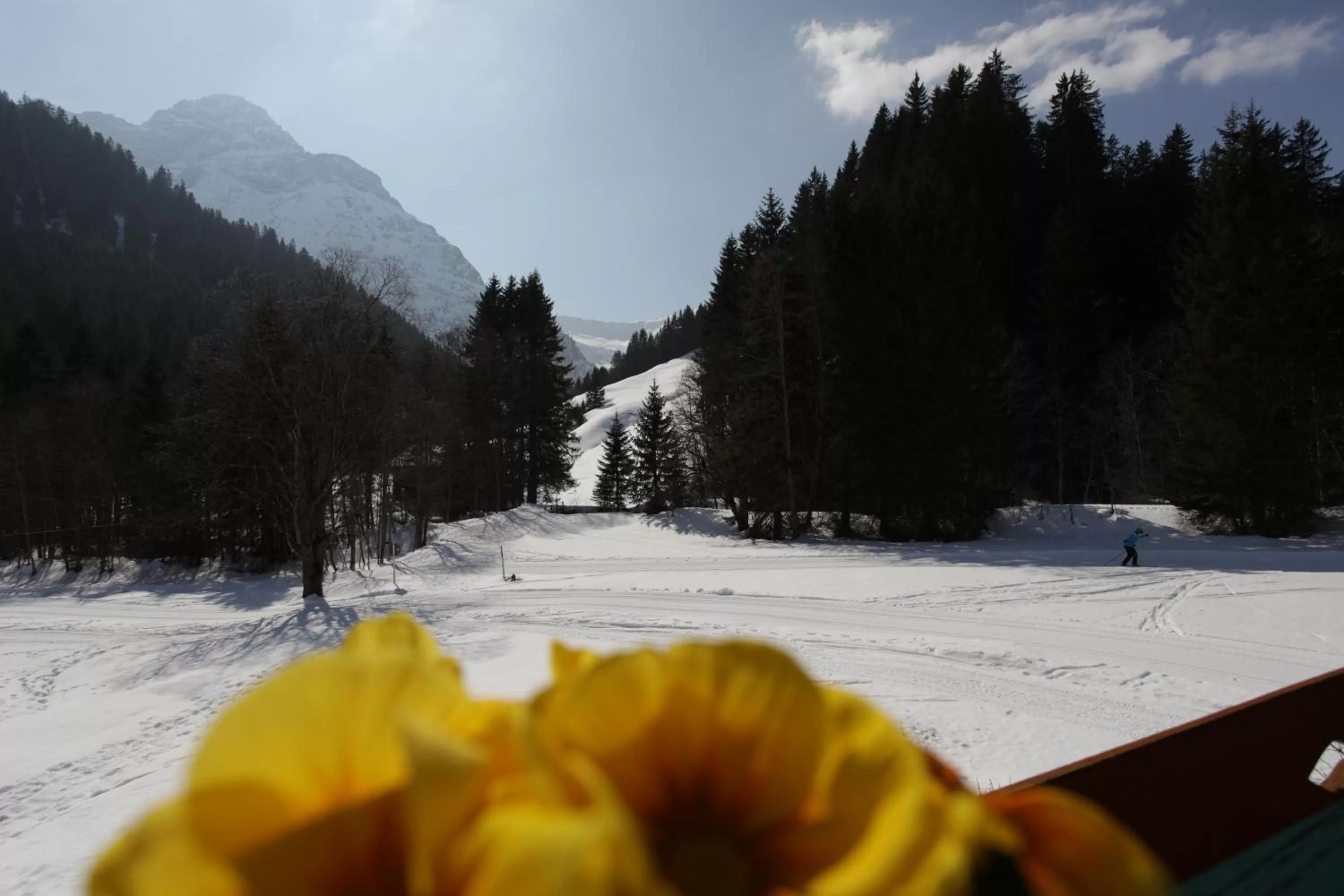 Natural landscape in Haus Derra