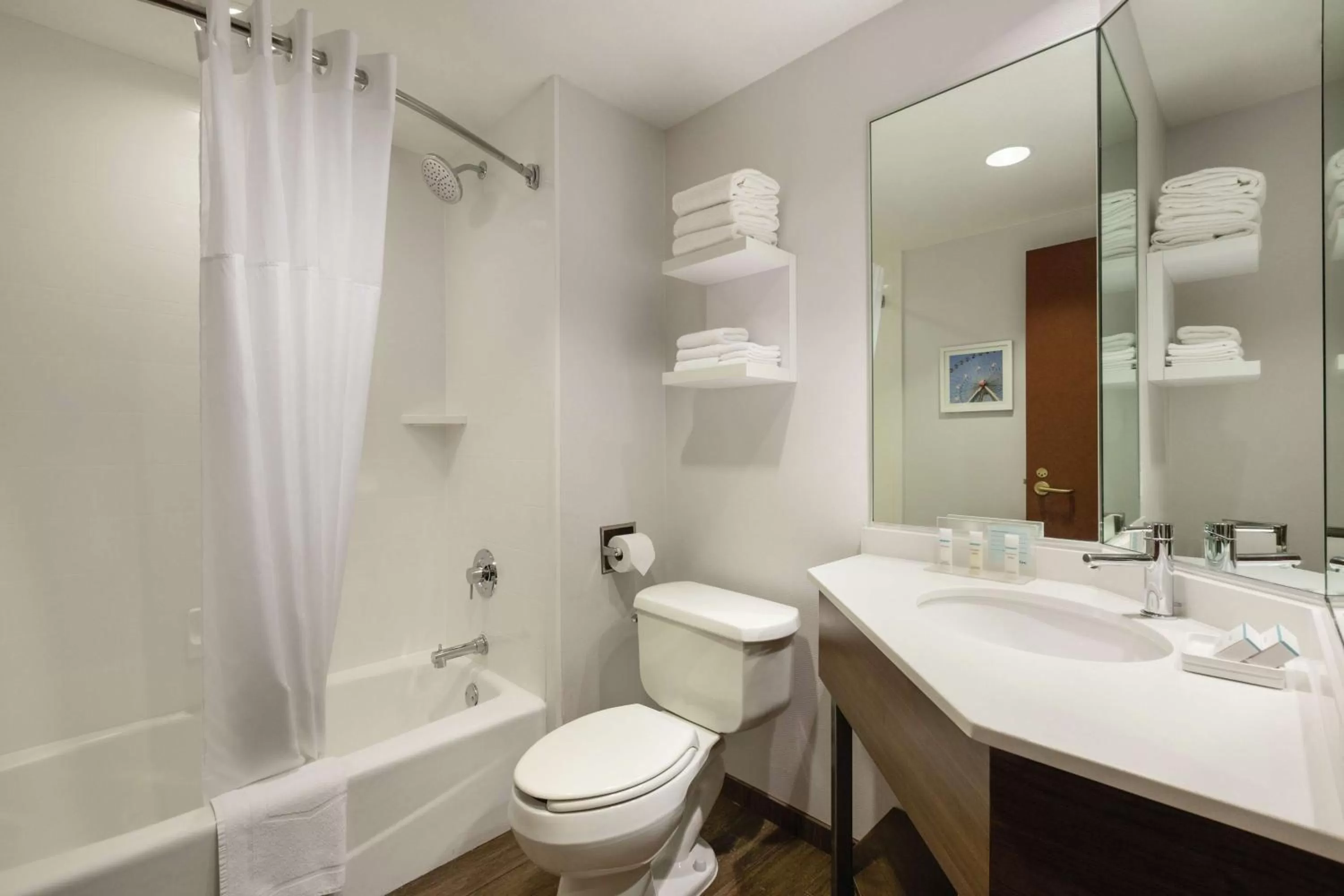 Bathroom in Hampton Inn & Suites Dallas-Mesquite