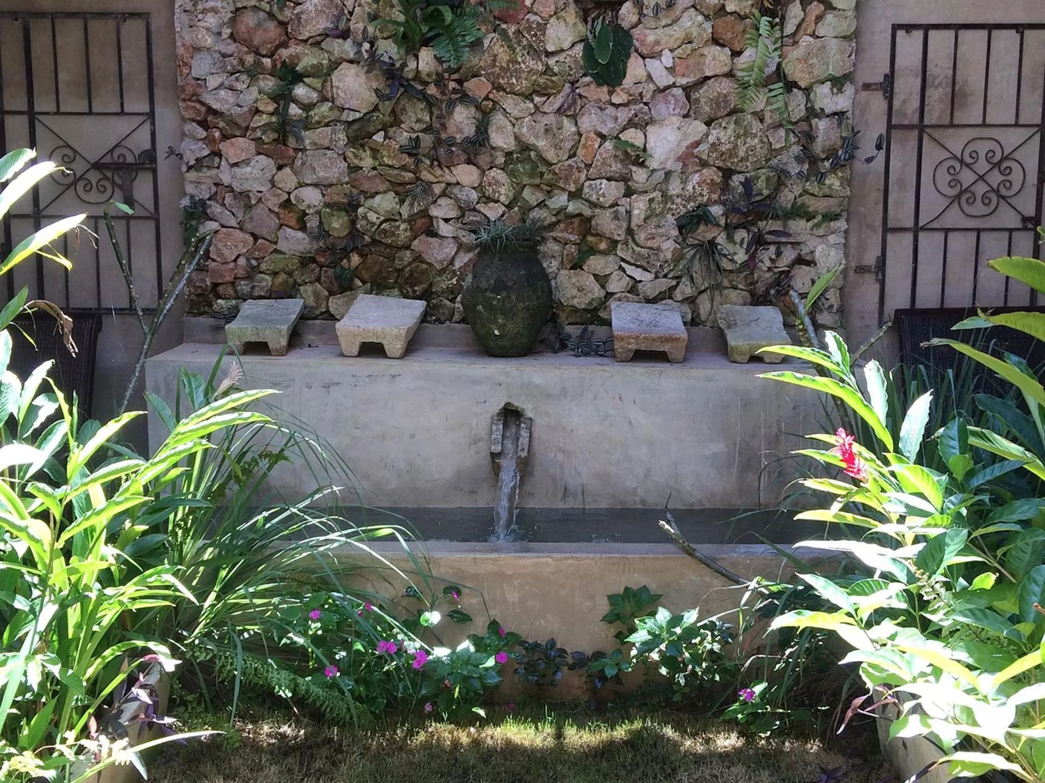 Garden in La Flor Casa Boutique