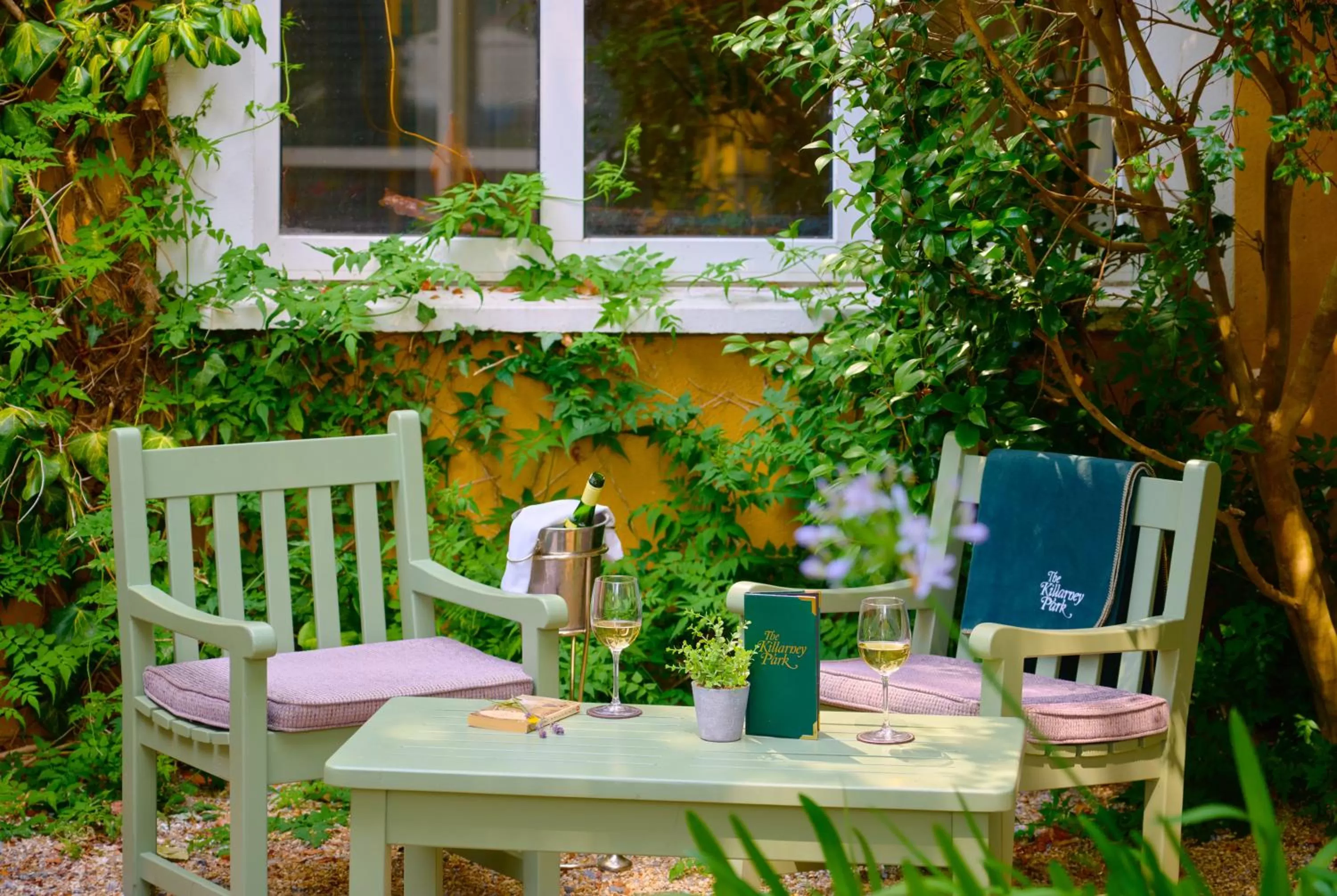 Garden in The Killarney Park