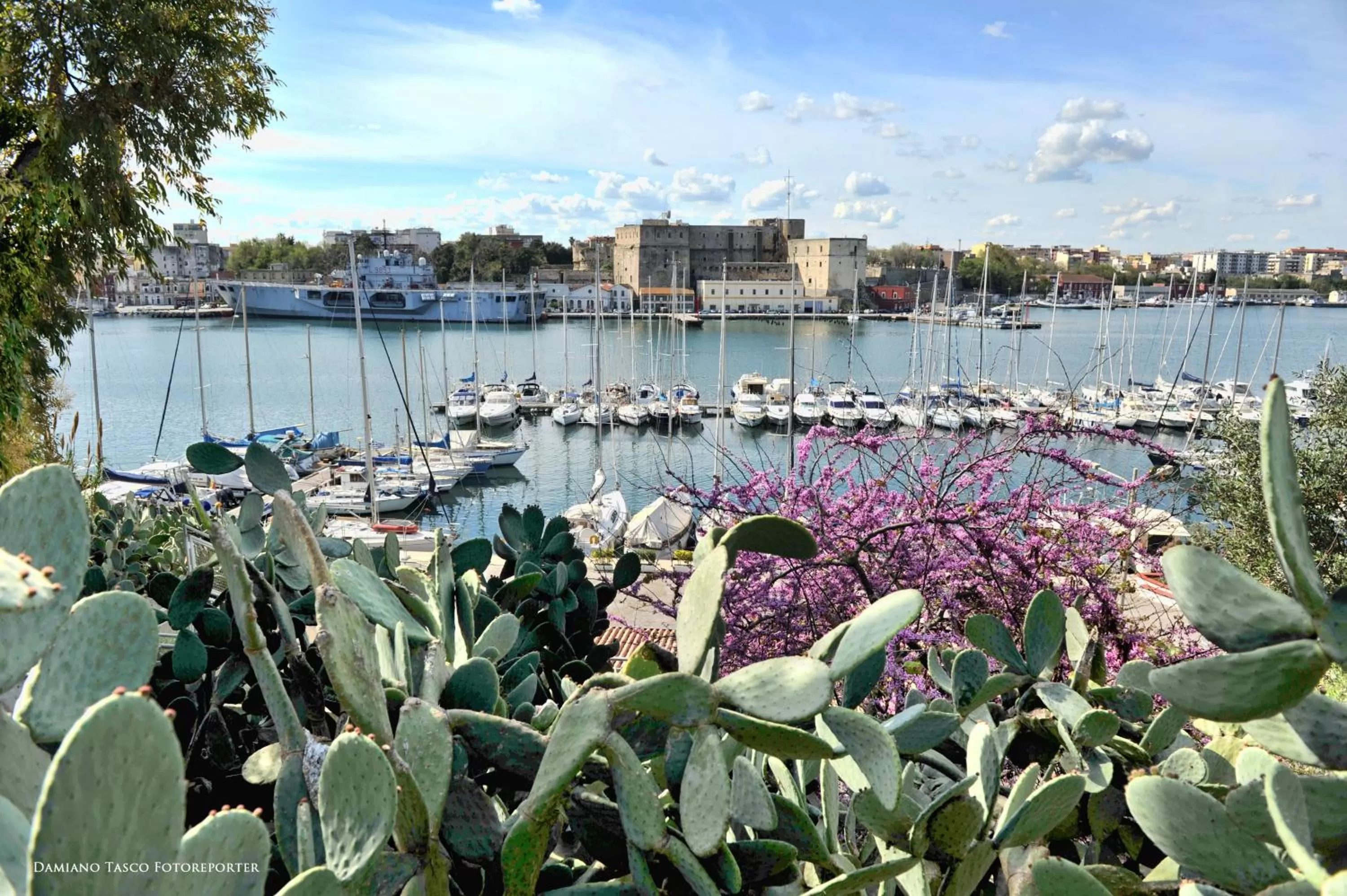 Pacuvius Home Suite B&B