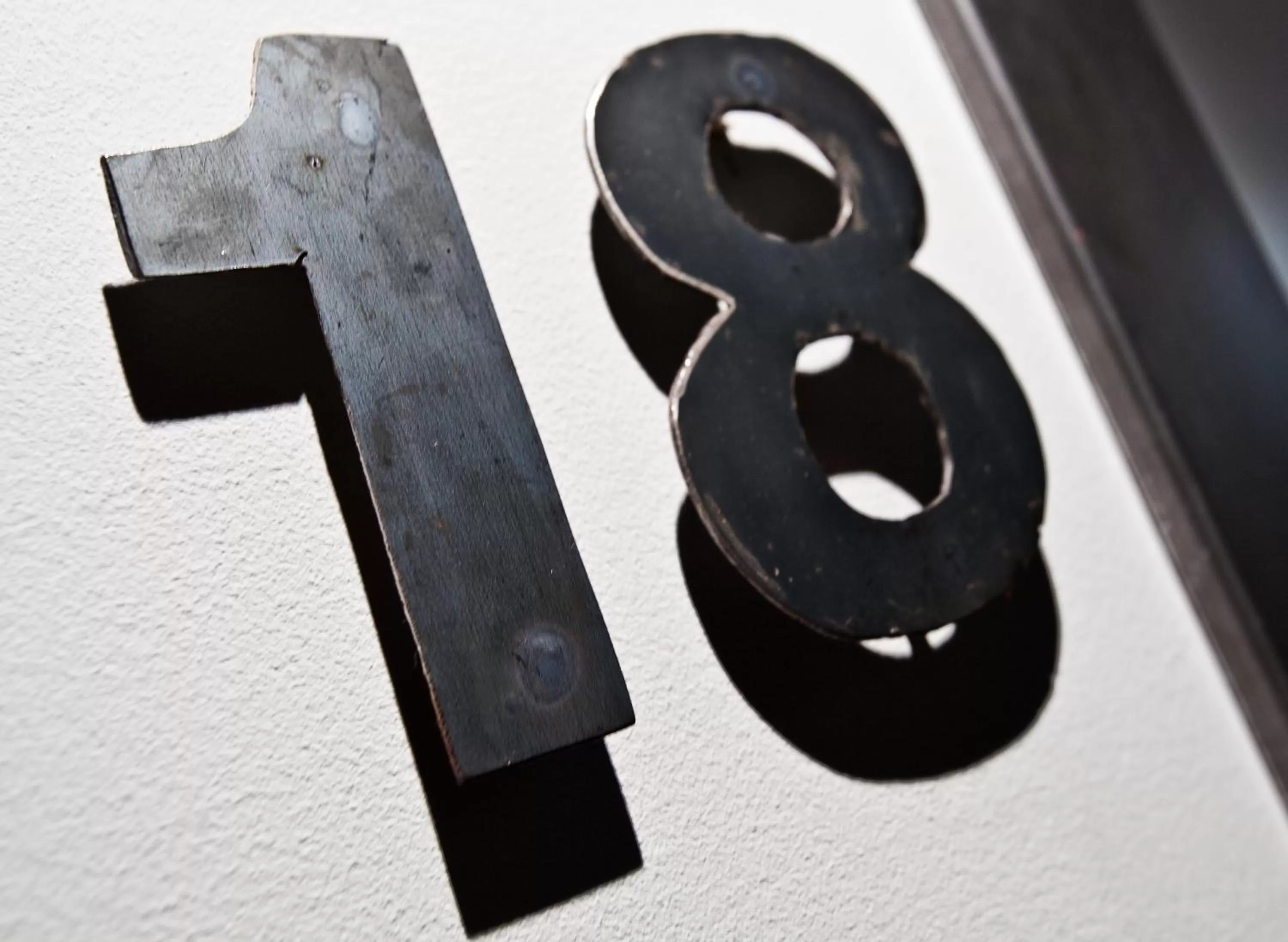 Other in Chic & Basic Zoo