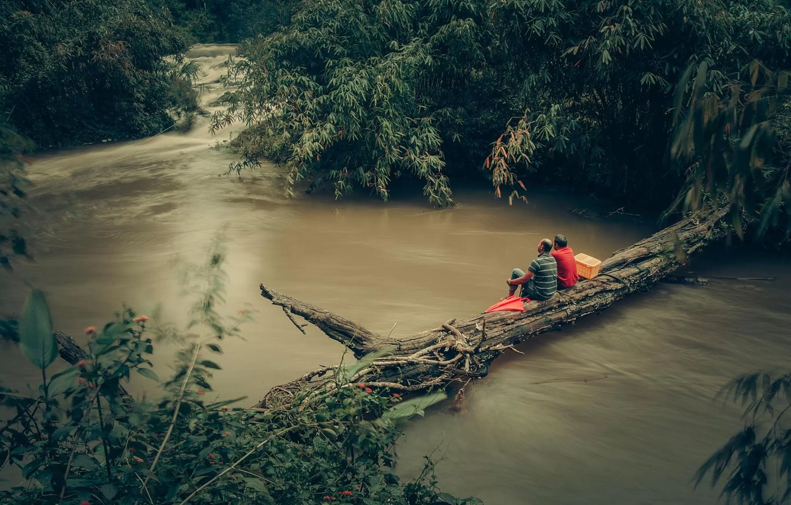 Day in Ela Ecoland Nature Retreat