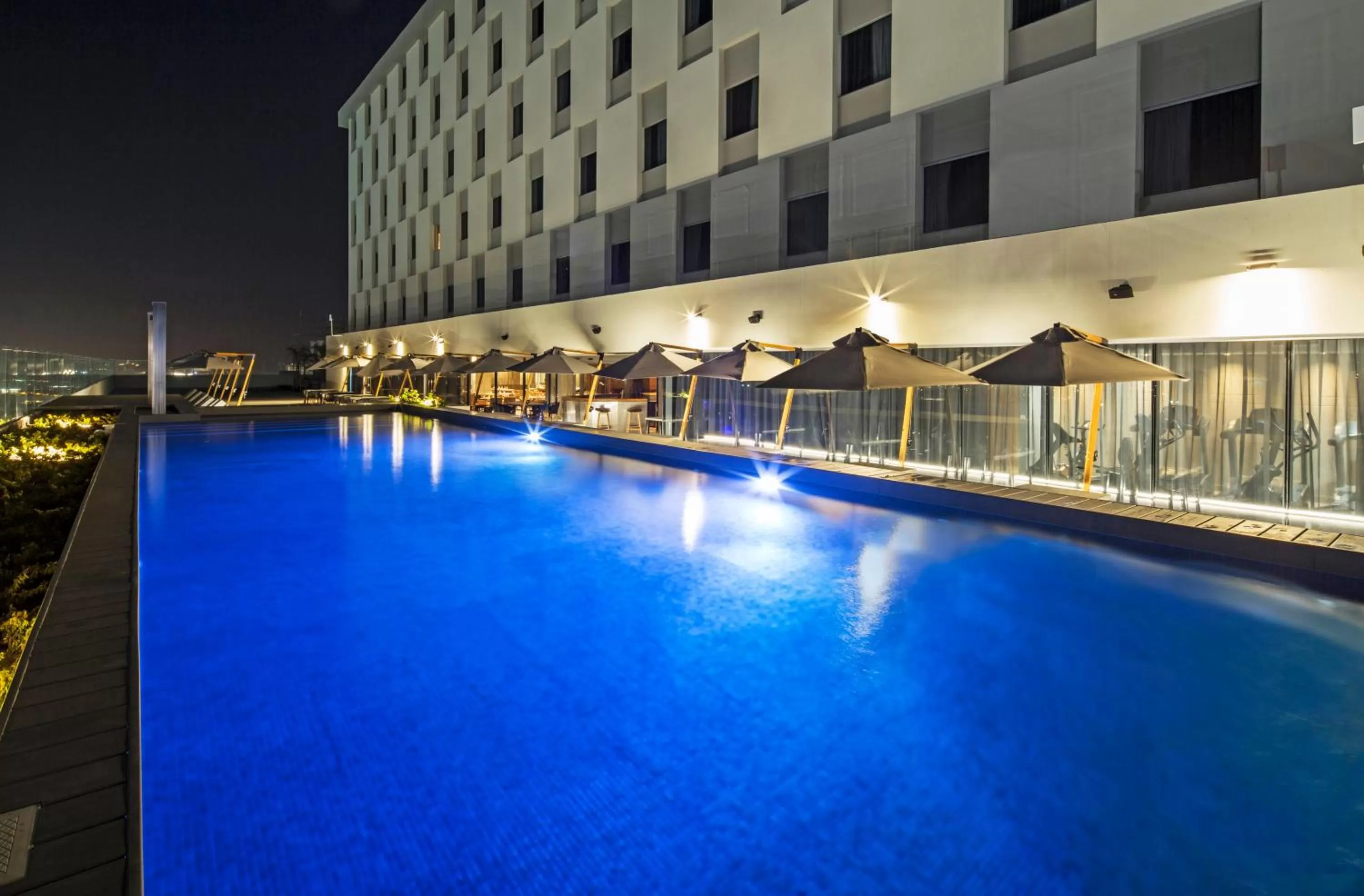 Swimming pool in Movich Buró 51