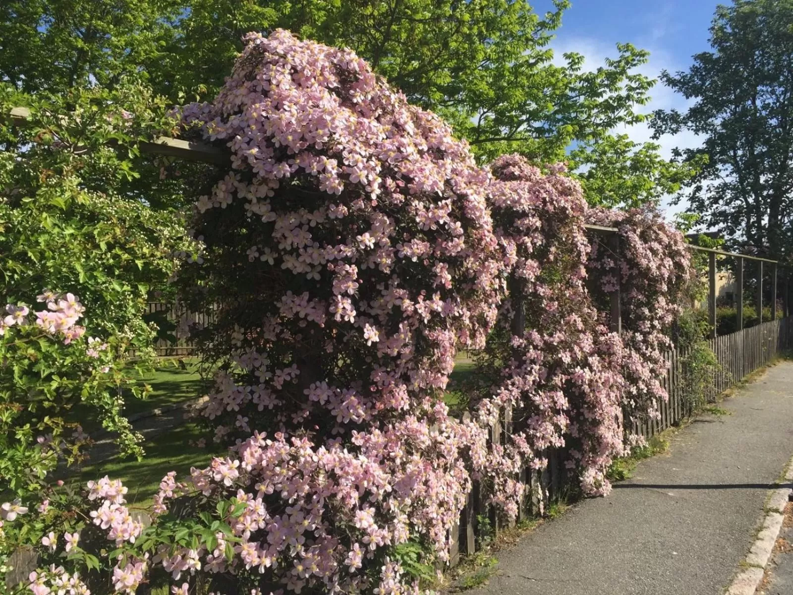 Garden in Aurora Bed & Breakfast