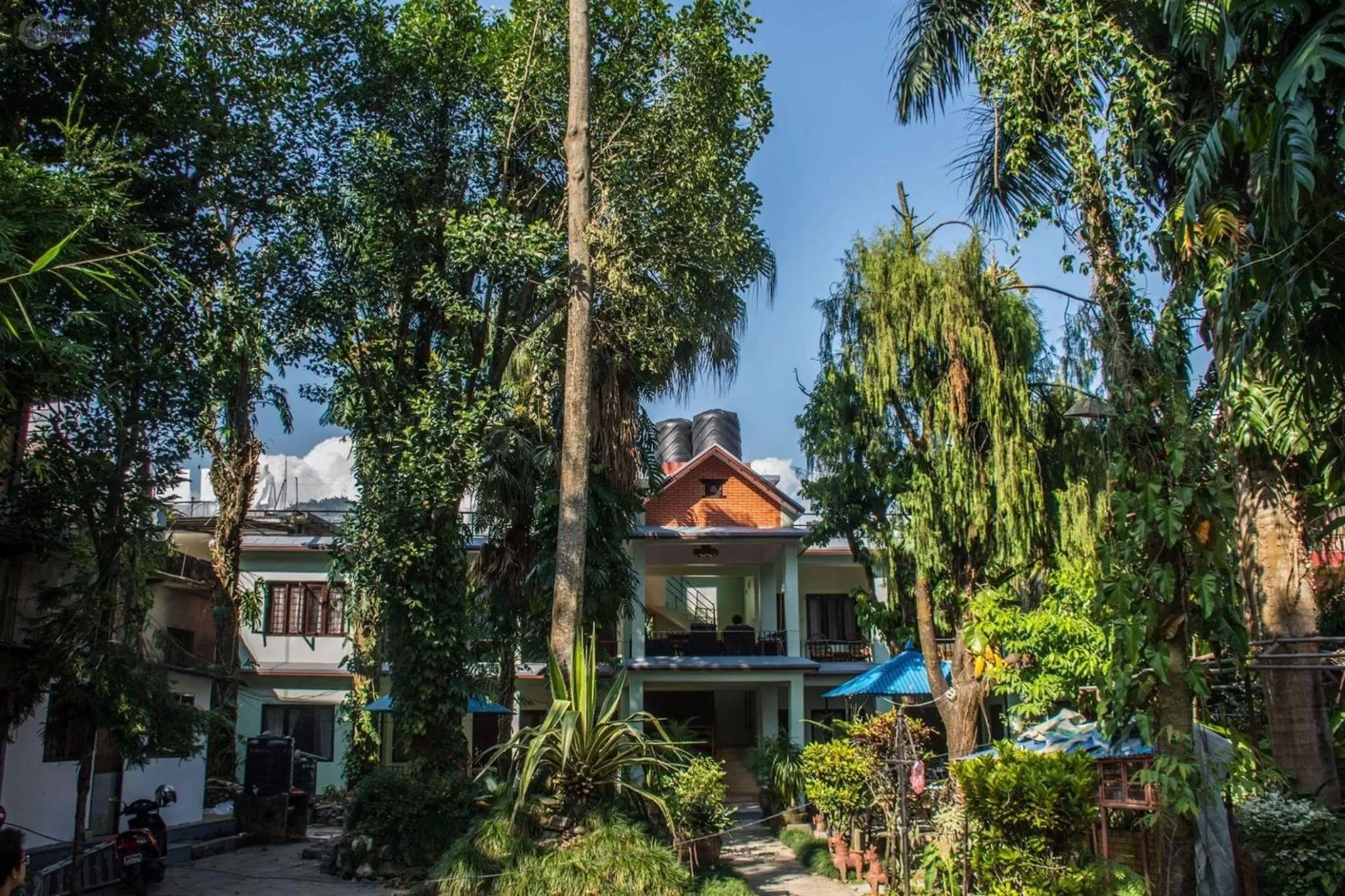 Garden view in Yeti Guest House