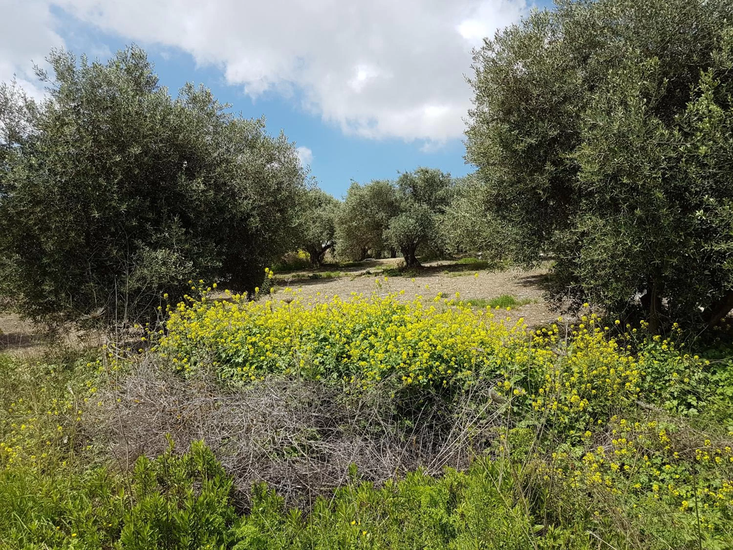 Hiking in Lishansky Since 1936