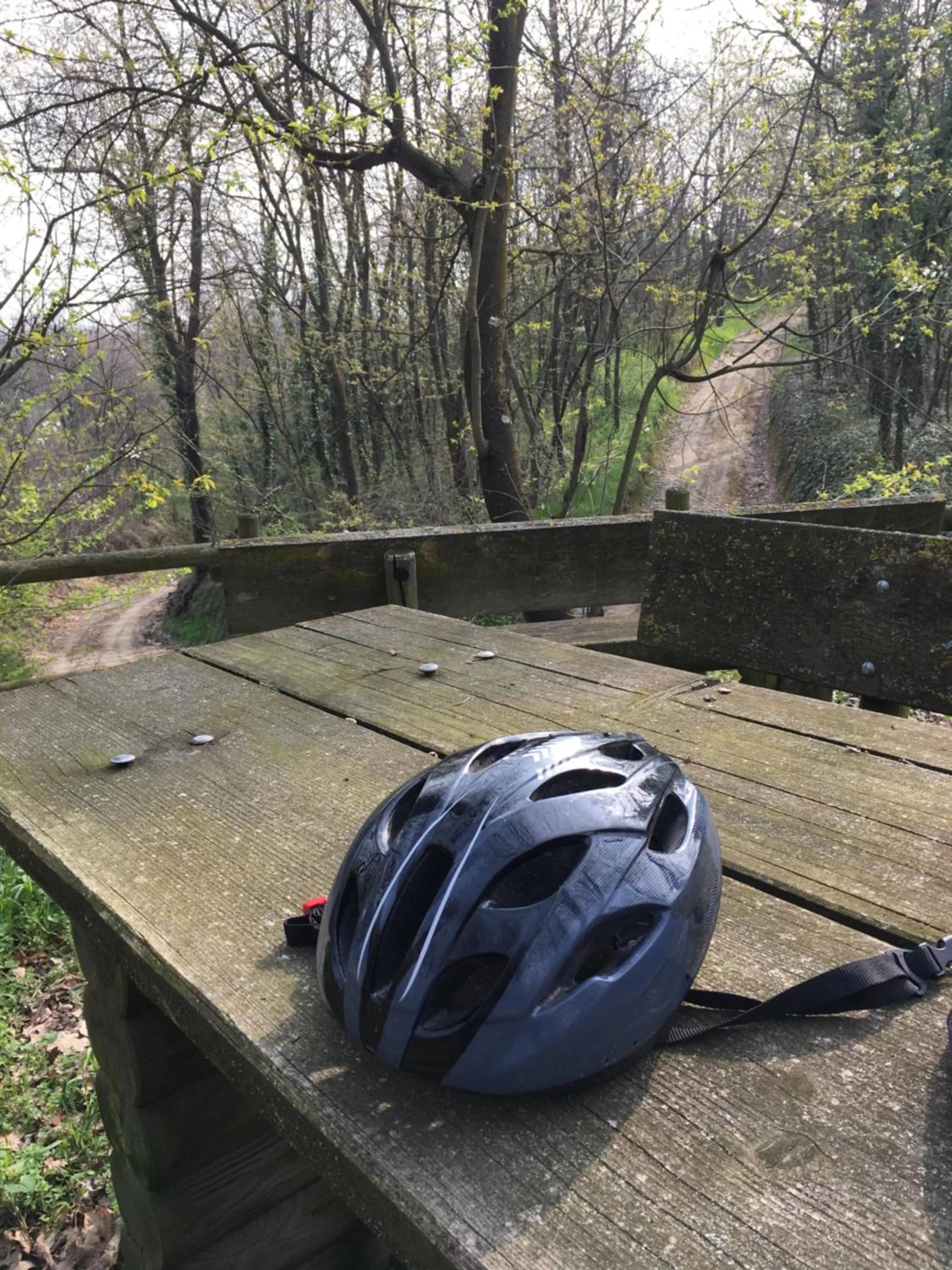 Cycling in B&B La Semplice Nel Verde