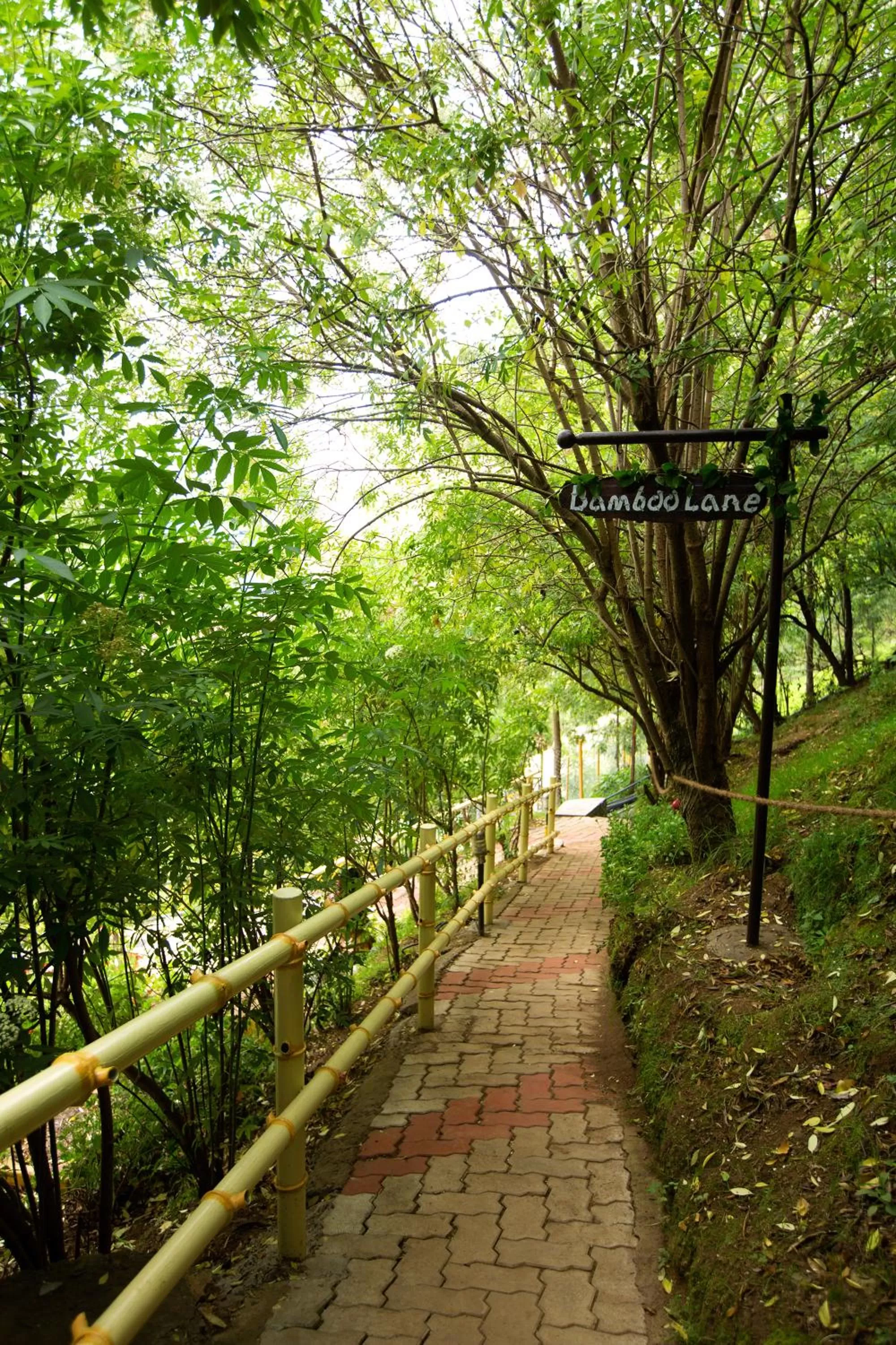 Garden in Pine Borough Inn