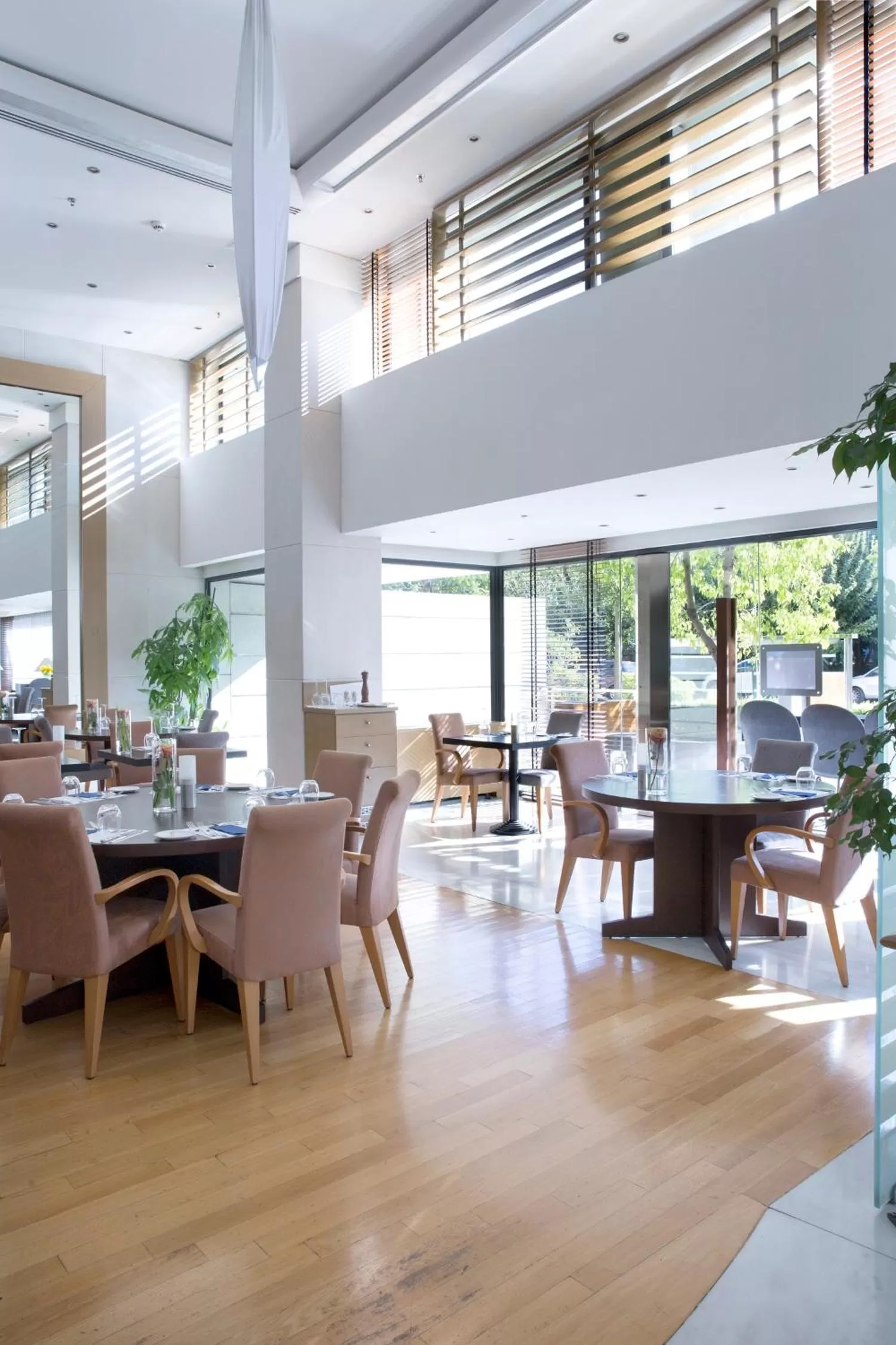 Restaurant/places to eat in Golden Age Athens Hotel