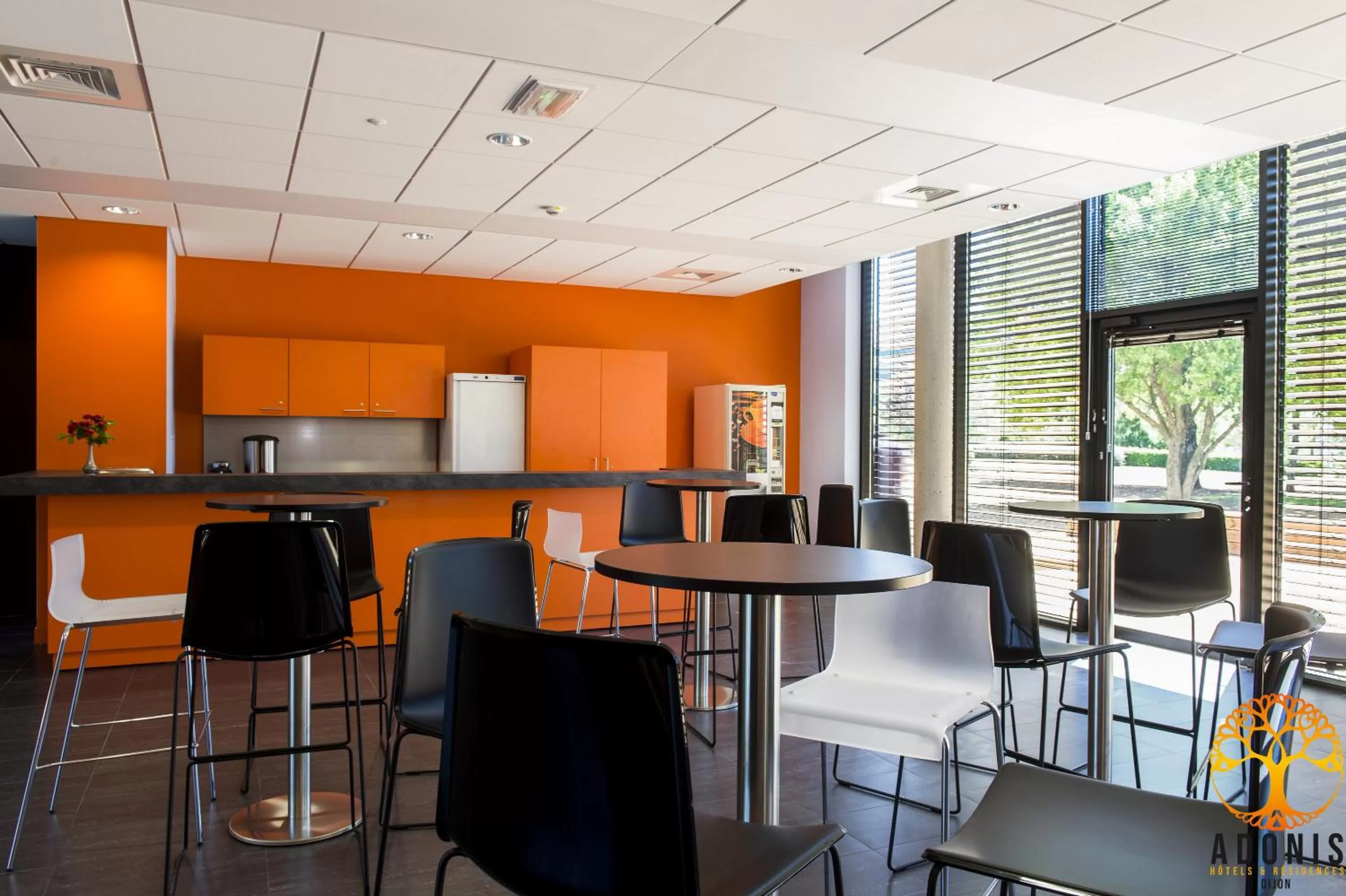 Adonis Dijon Maison Internationale