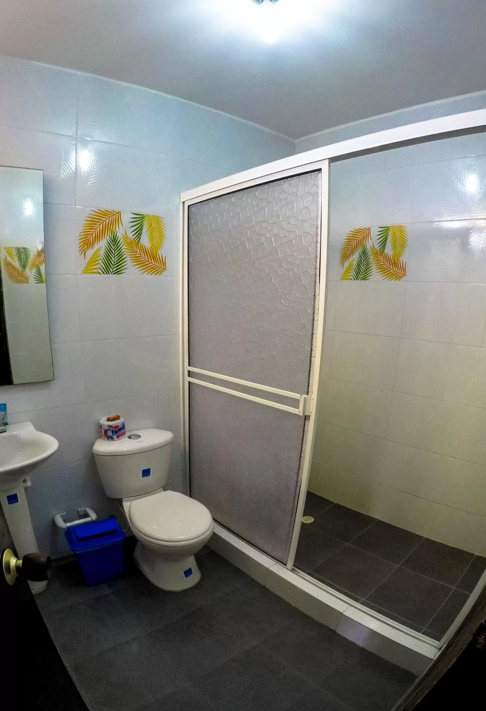 Toilet in Posada Cultural Bahia Sonora