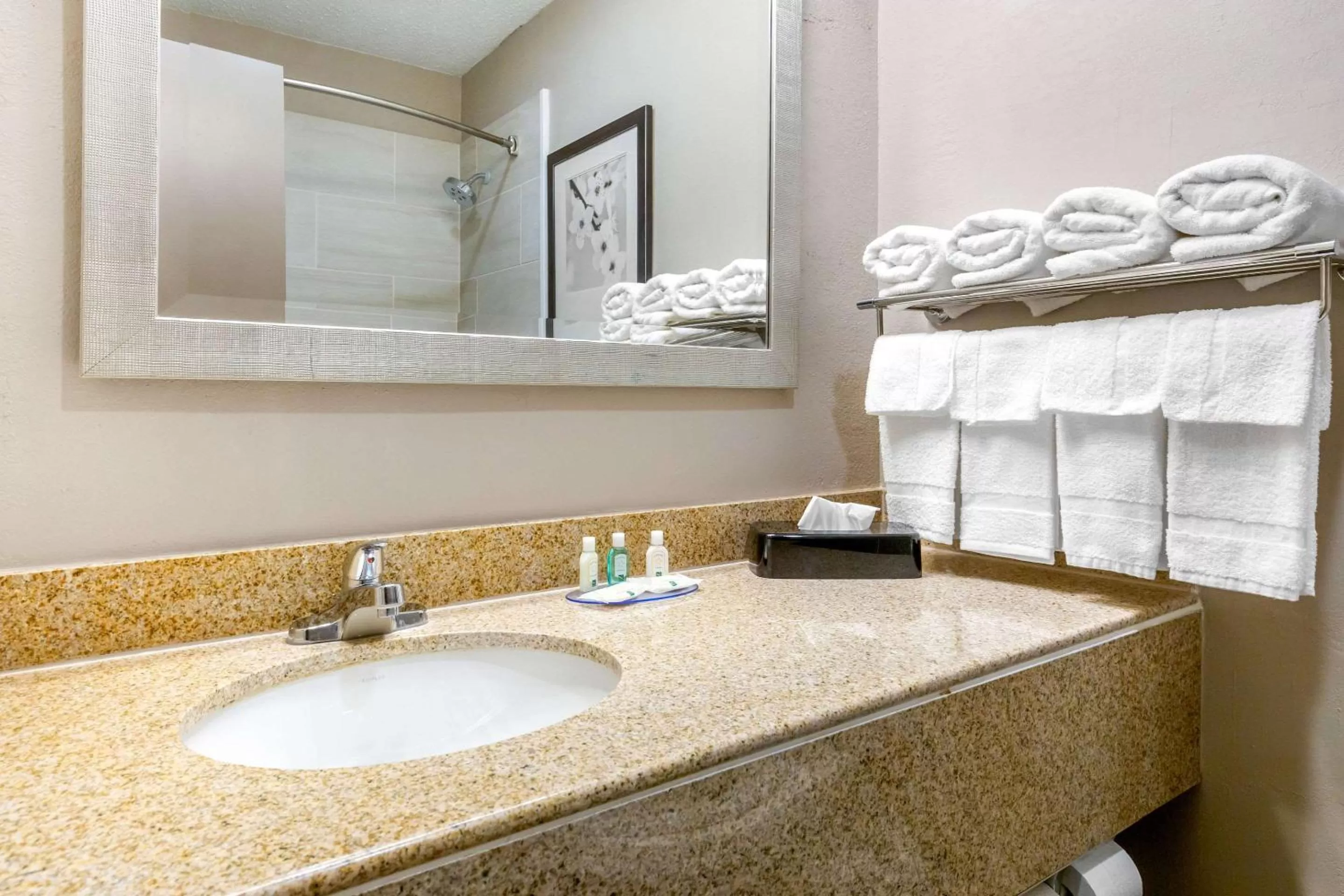 Bathroom in Quality Inn & Suites Apex - Holly Springs NC
