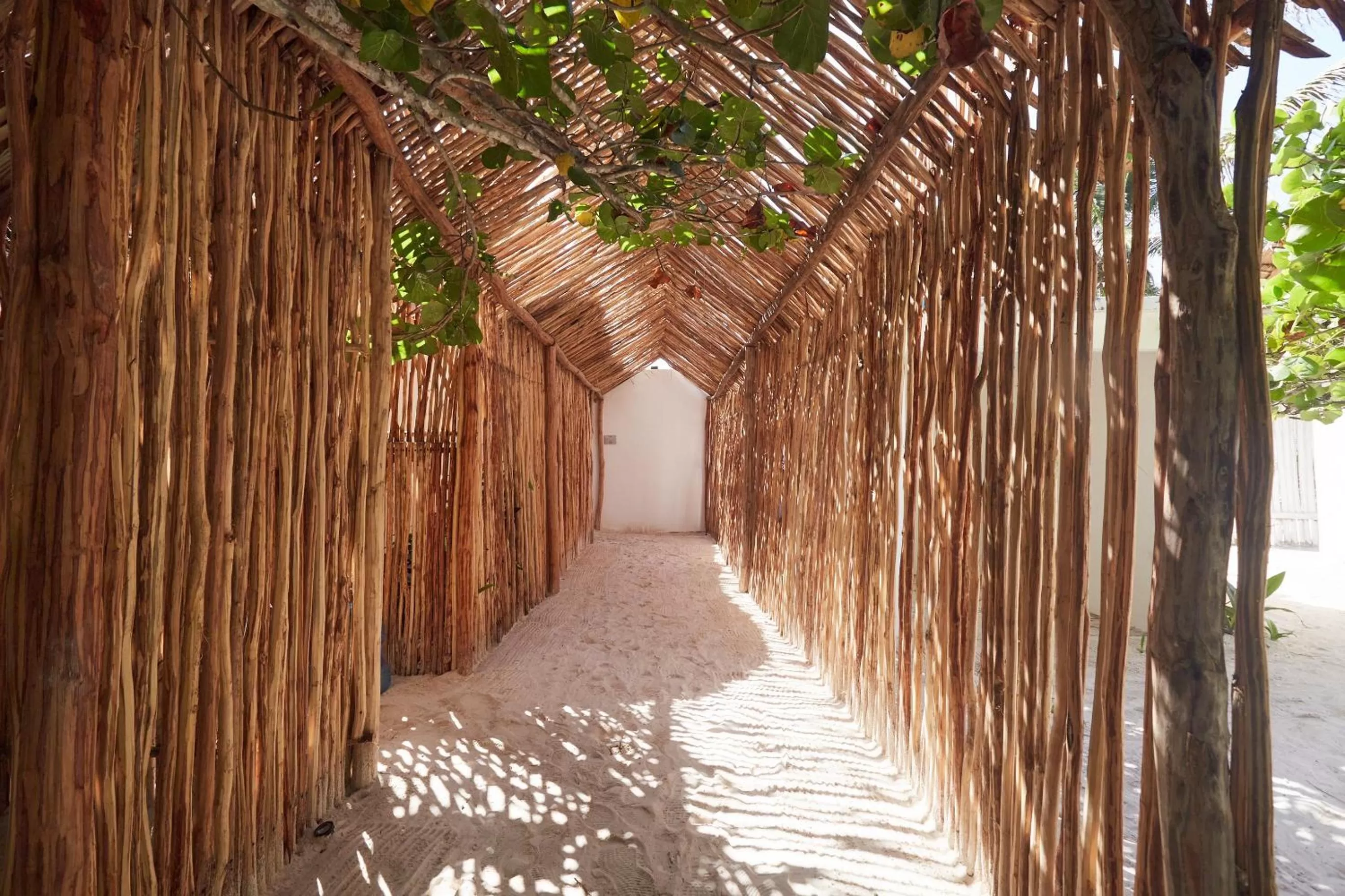 Garden in Roc Luxe Tulum