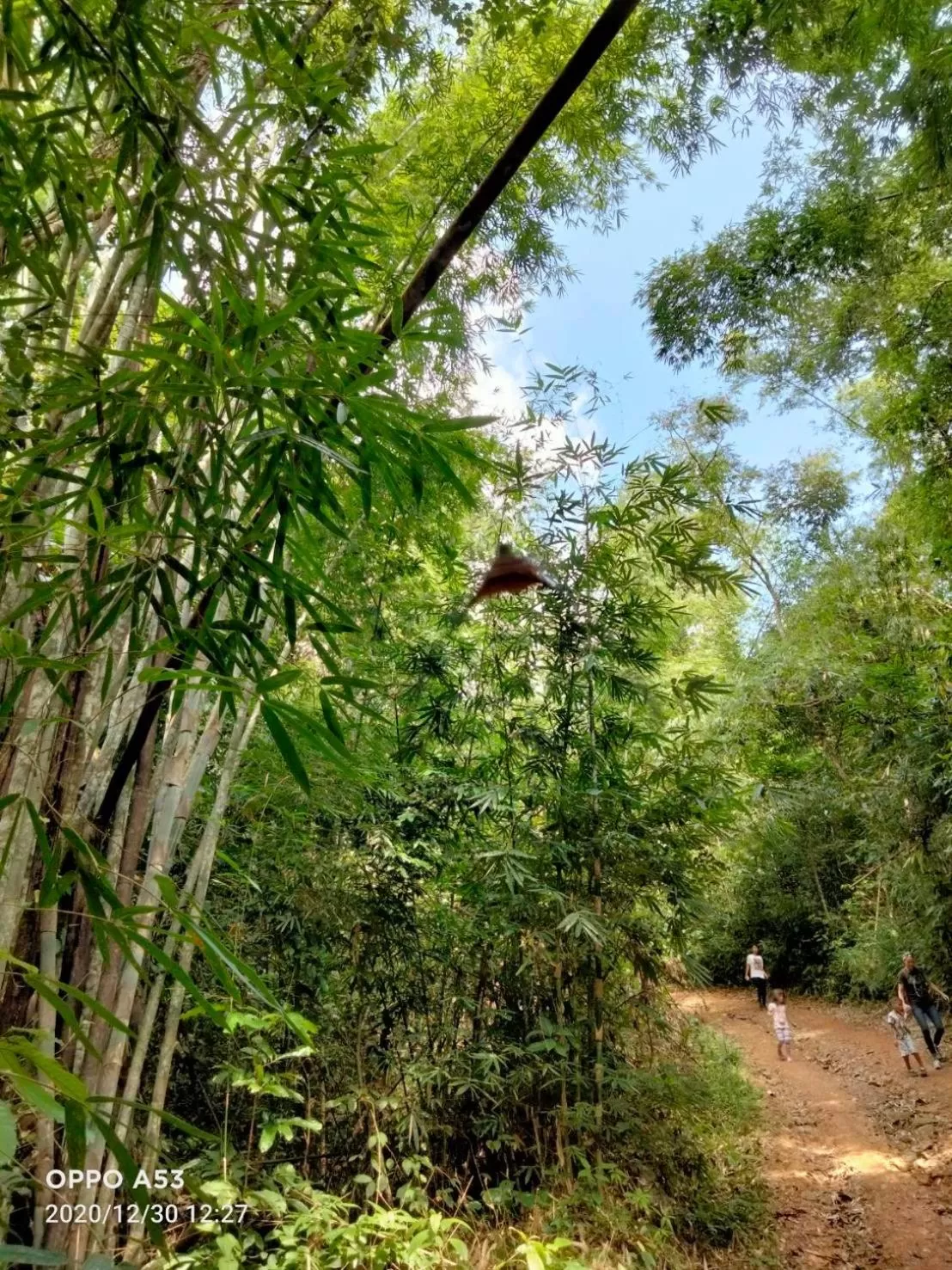 Khaosok Rainforest Resort