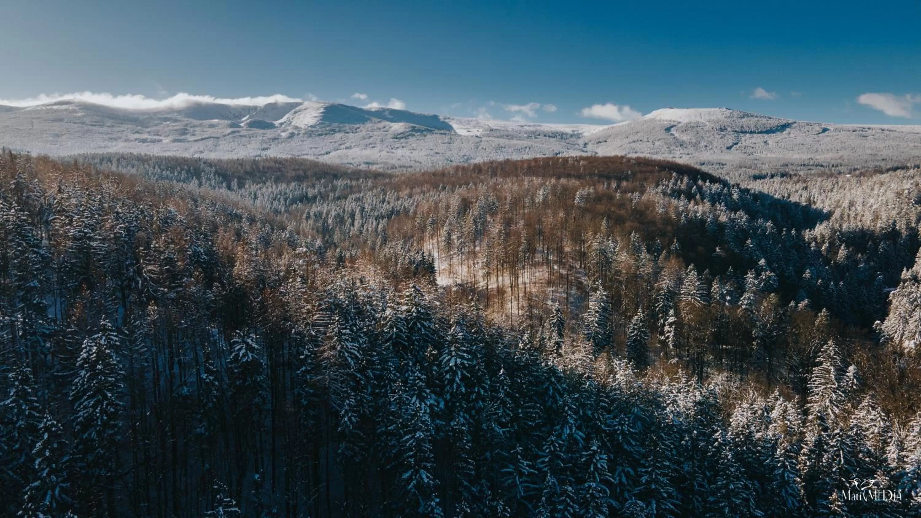 Bird's eye view in Norweska Dolina Family&Pet-friendly Resort