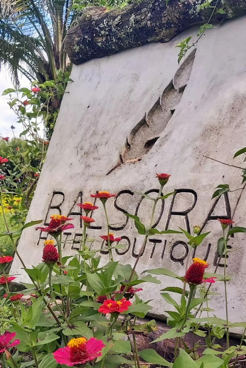 Logo/Certificate/Sign in Balsora Hotel Boutique