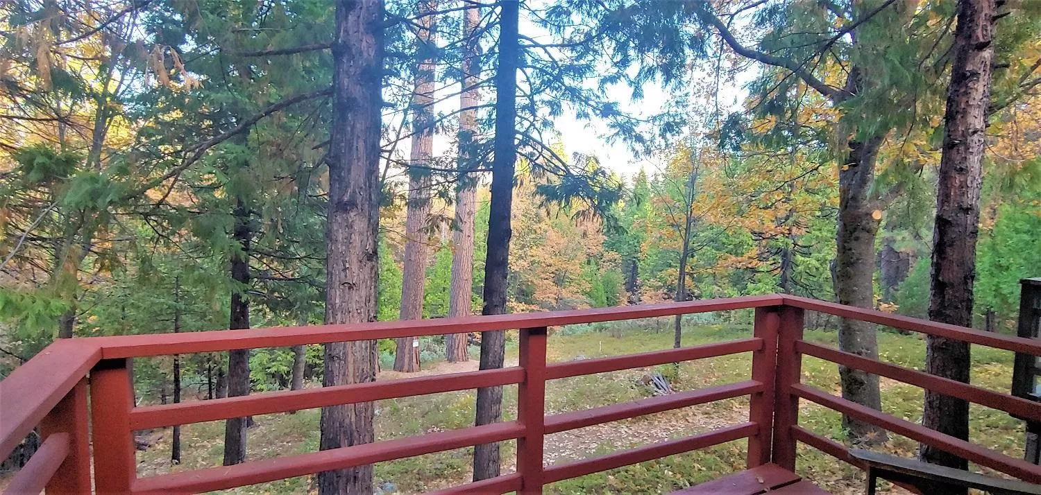 Natural landscape in Narrow Gauge Inn