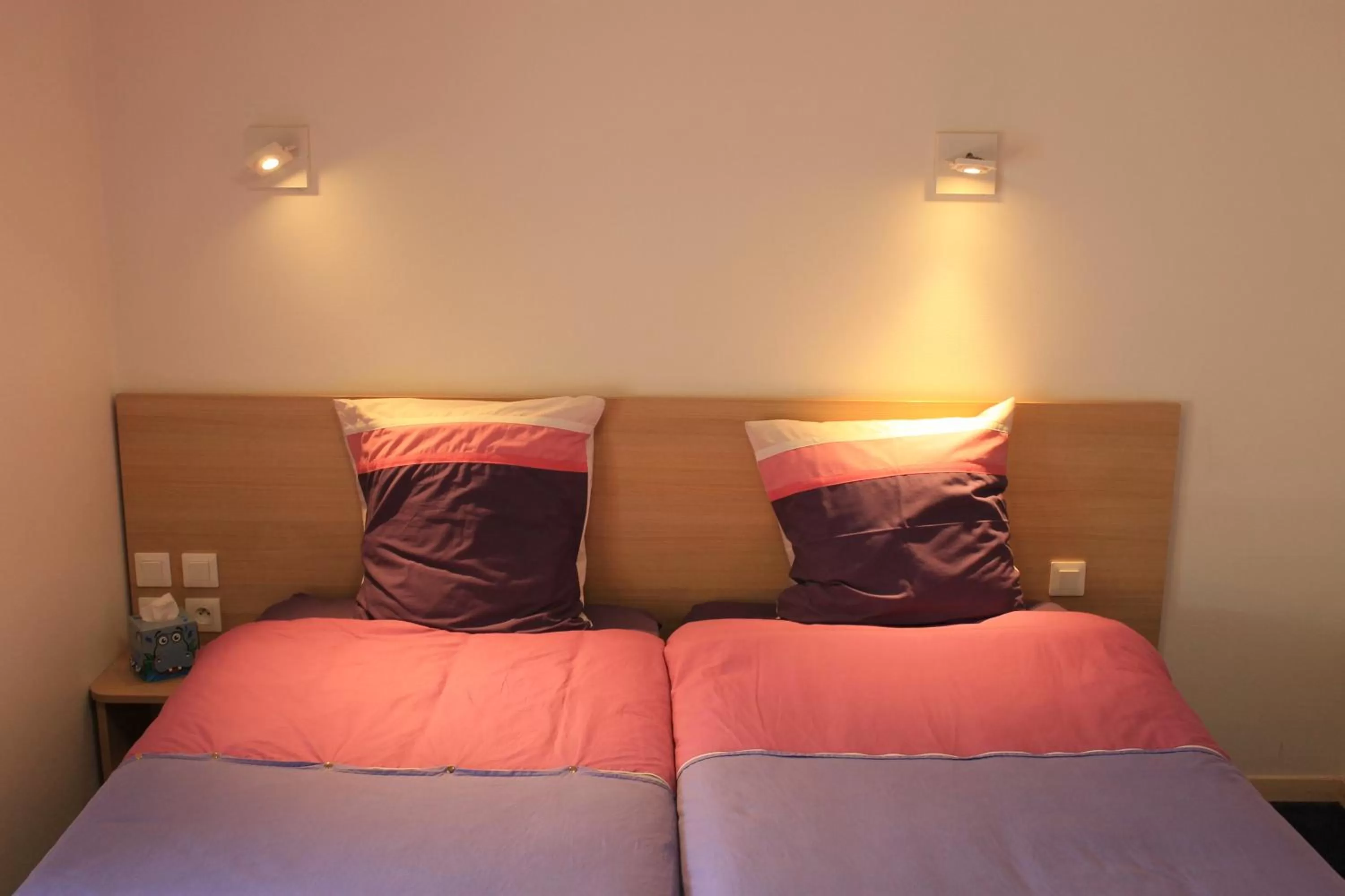 Bed in Hôtel du lion d'or