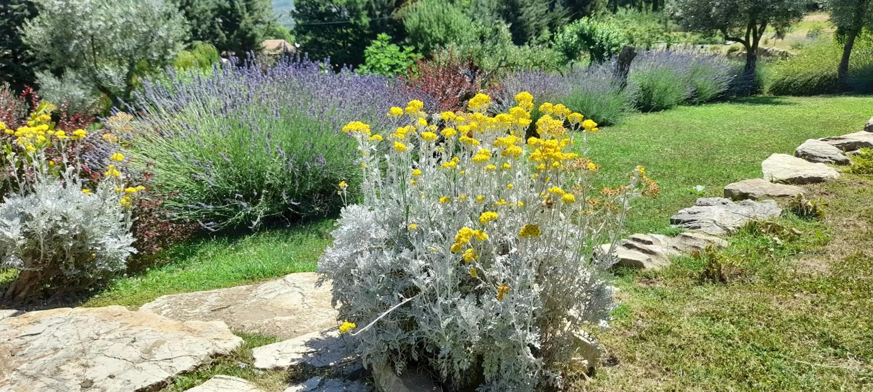 Masseria boutique b&b